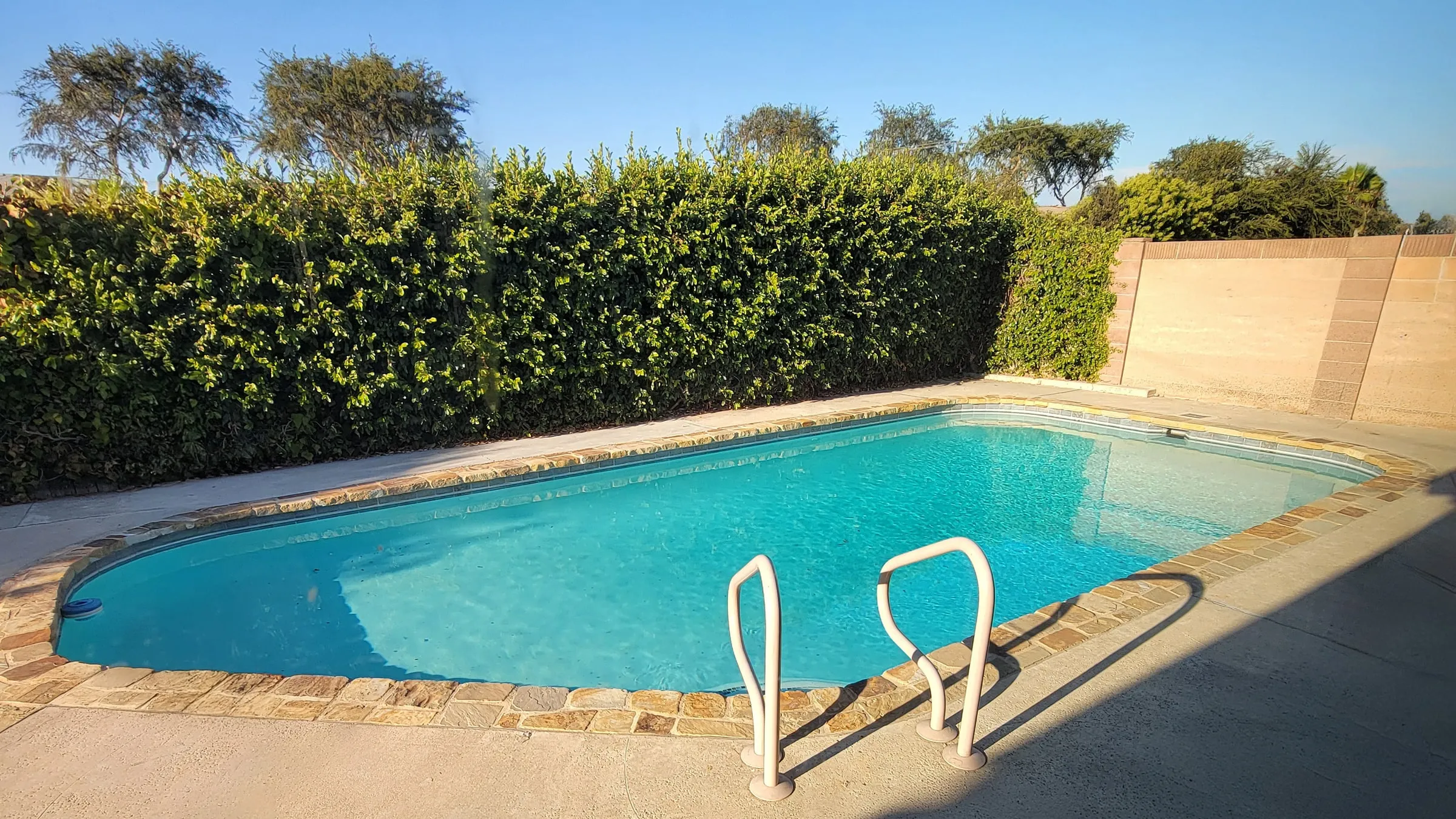 The studio pool in Fullerton in daylight, a tall hedge behind the water and a rail at the near edge.