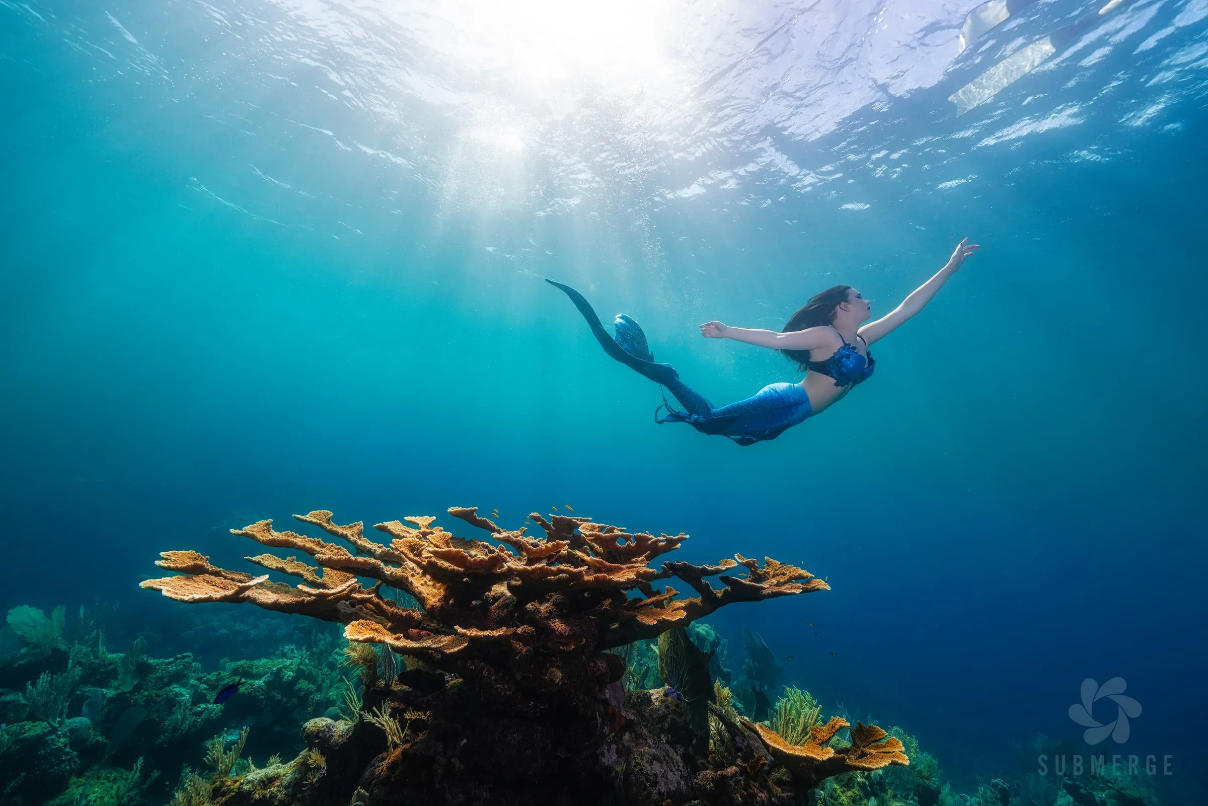 Roatán 2027: Dive Trip and Underwater Modeling Workshop: film poster