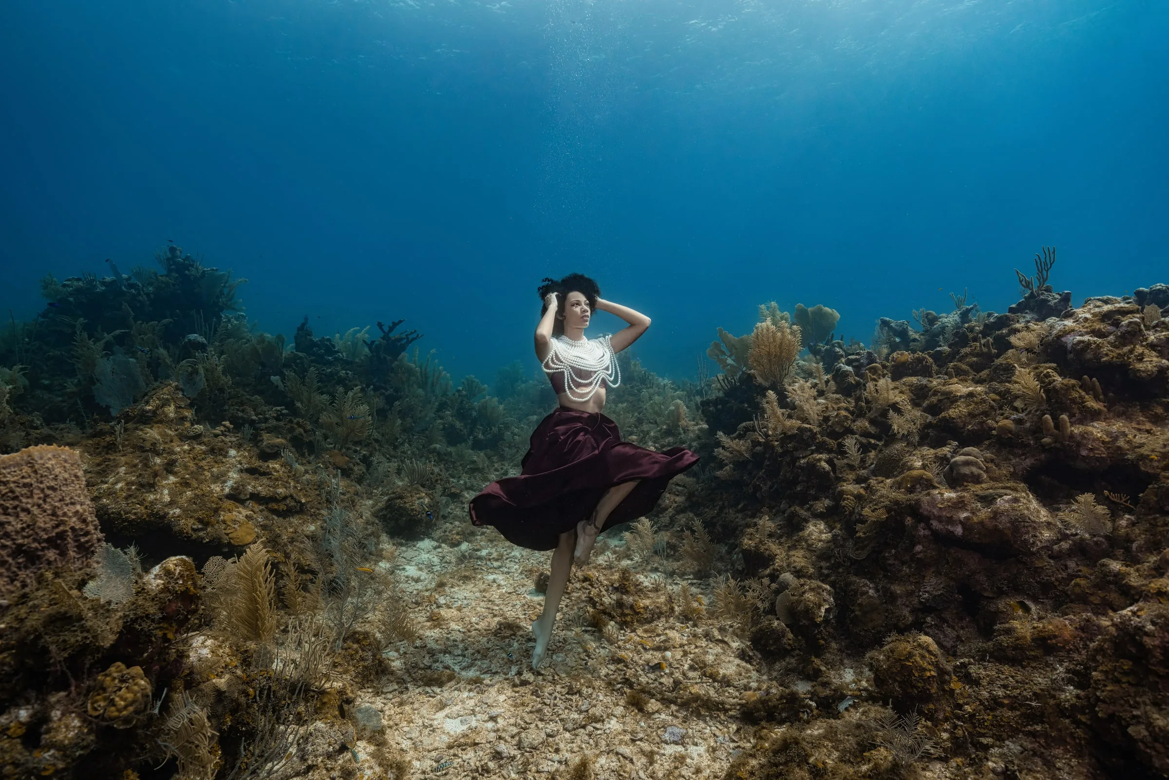 Roatán 2027: Dive Trip and Underwater Modeling Workshop: workshop 2