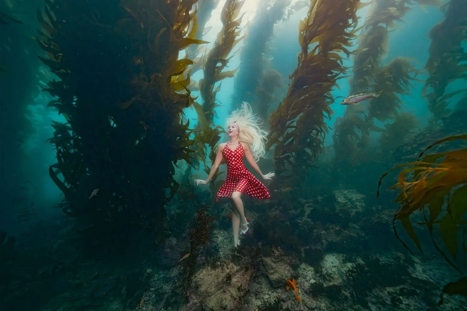 Abbey in a red polka-dot dress and pearls, suspended upright in a giant kelp forest with her blonde hair fanned above her.