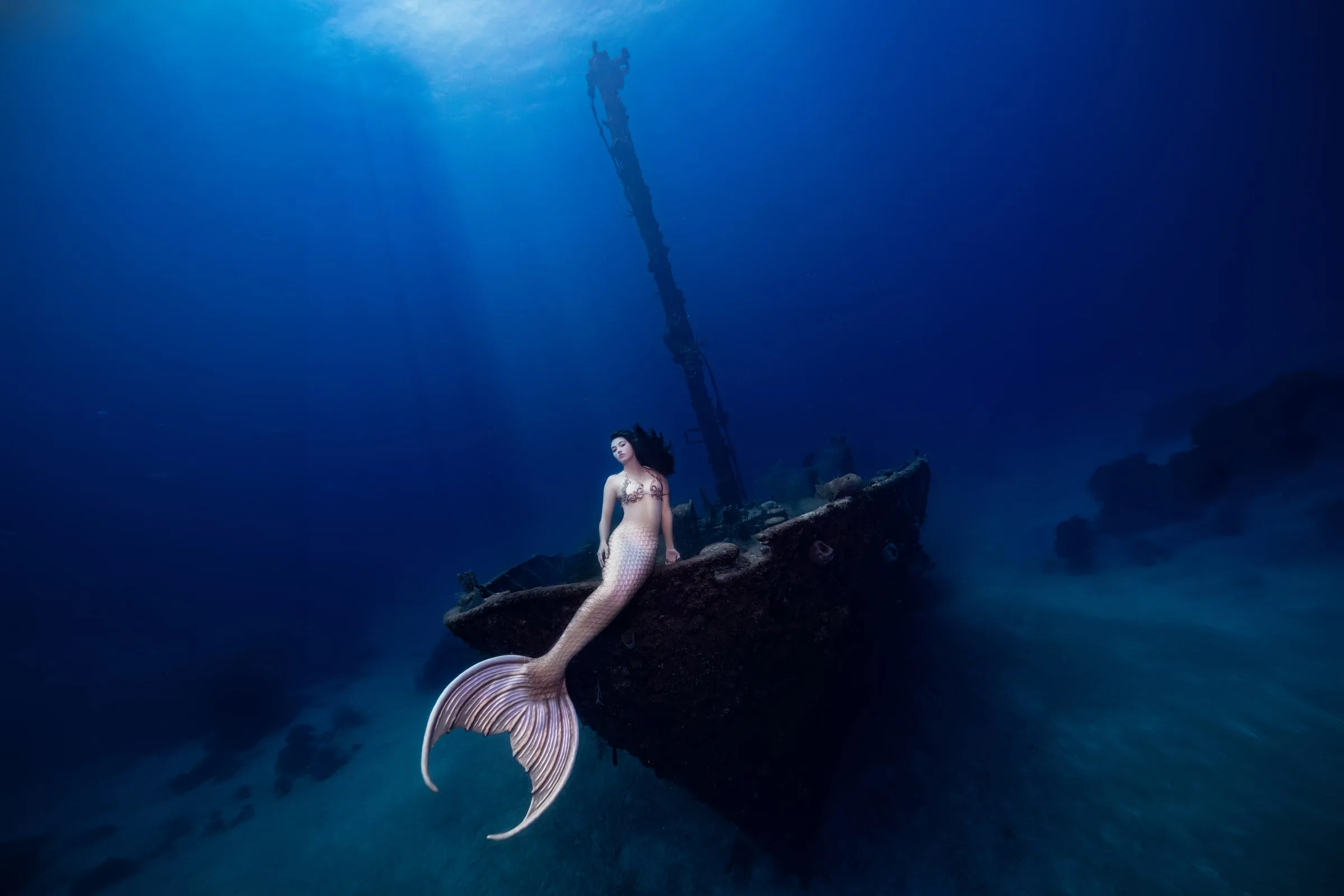 Roatán 2027: Dive Trip and Underwater Modeling Workshop: workshop 3