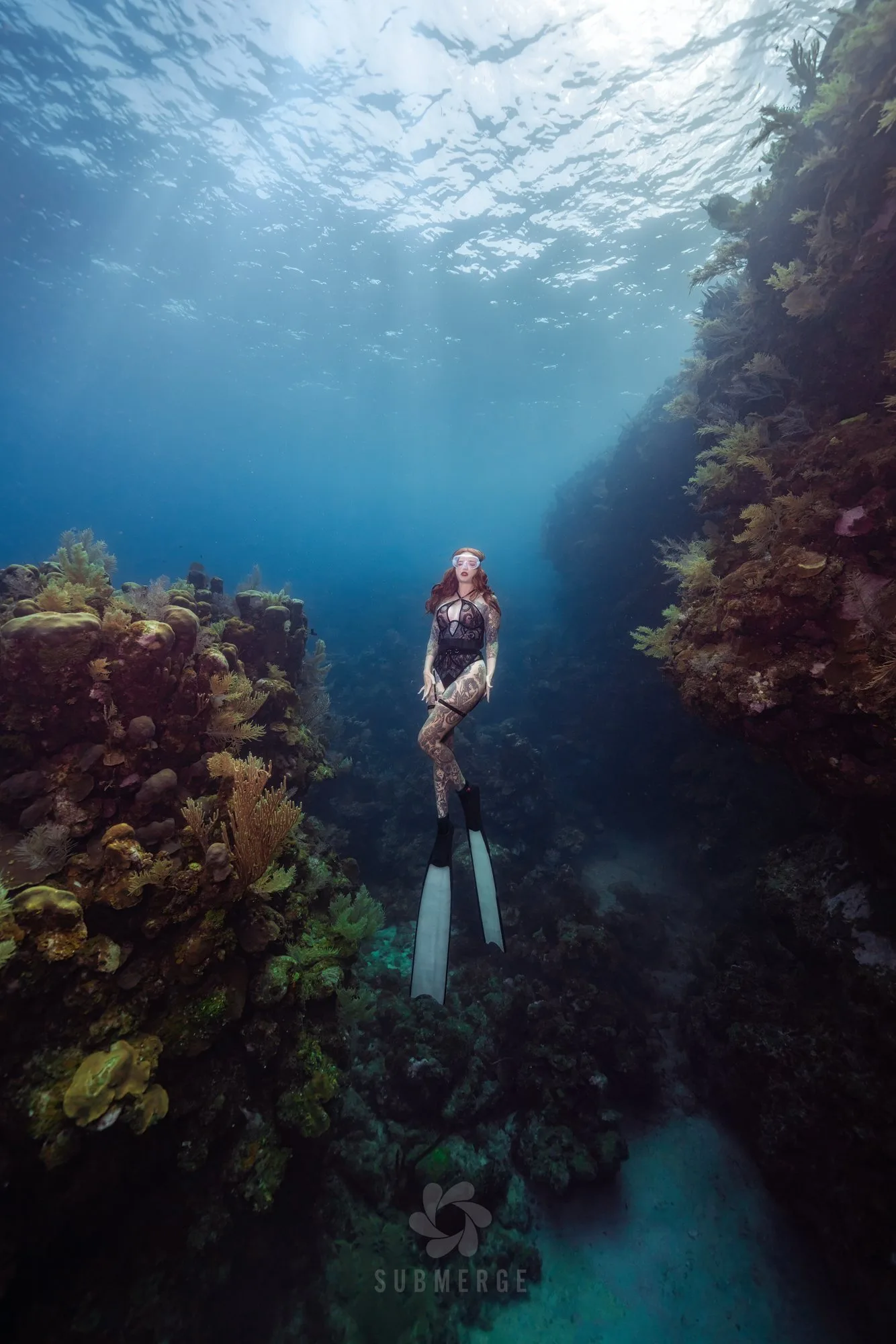 Freedive Photography: venue ocean