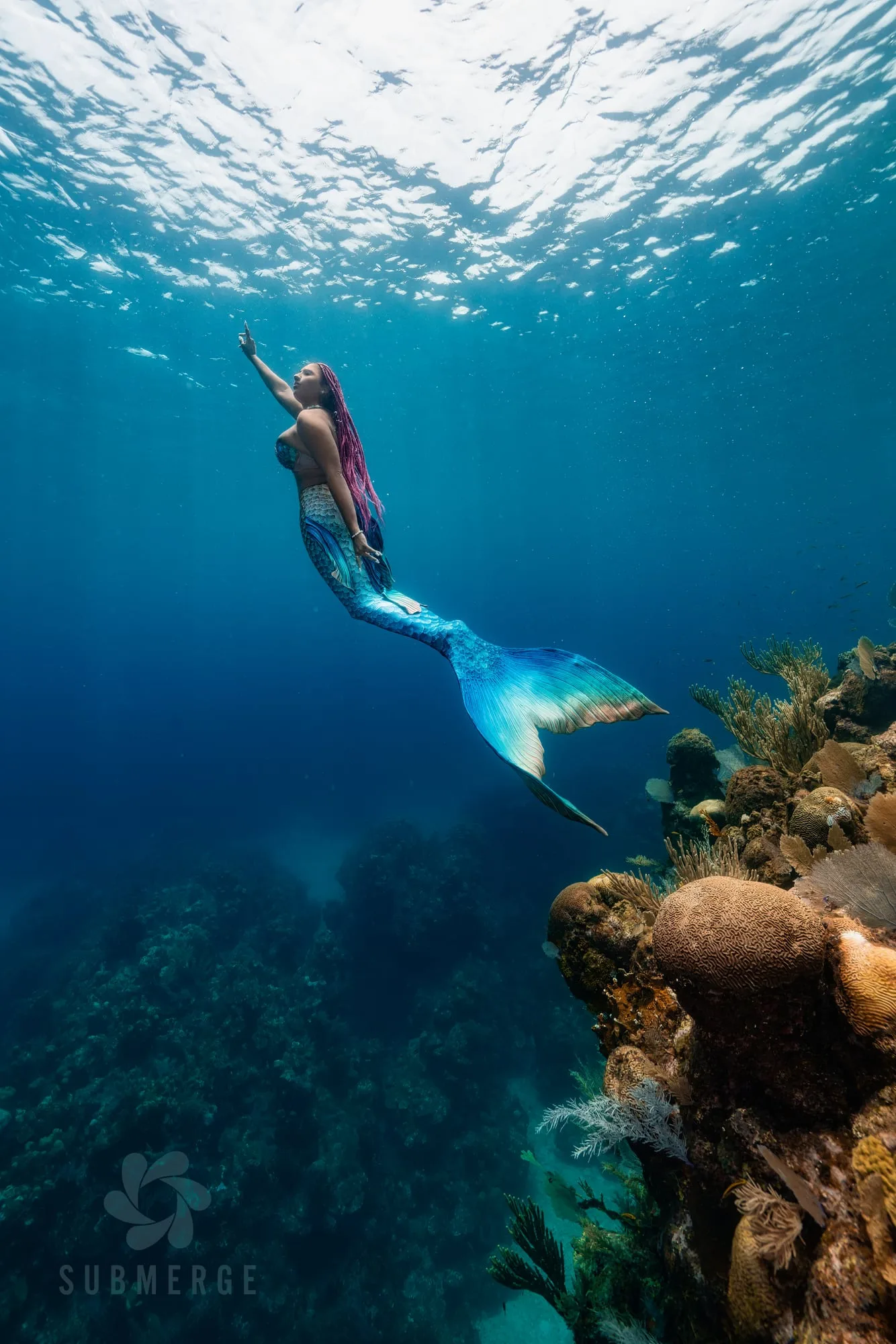 Photography: Mermaids: dsc02331 full copy