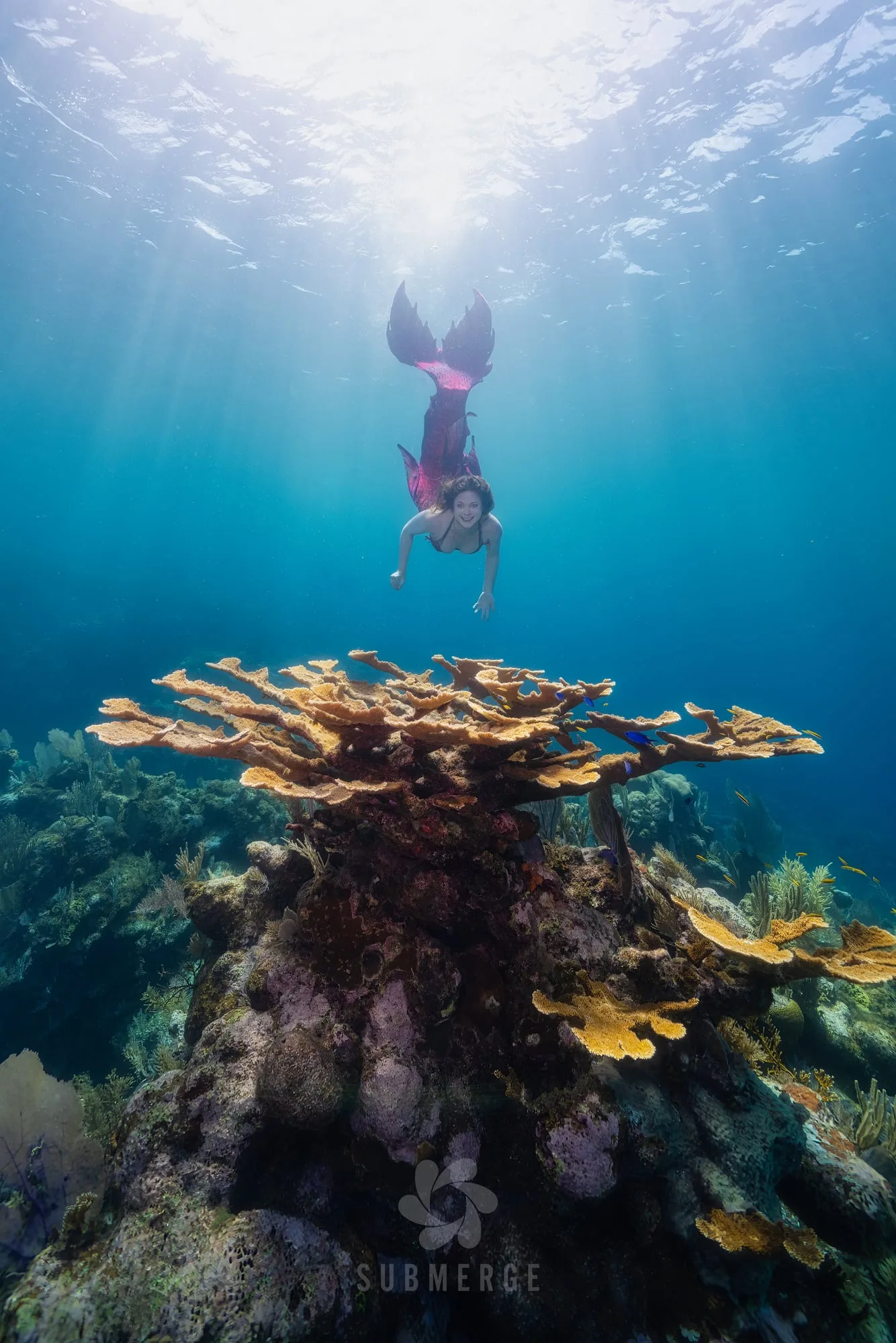 Photography: Mermaids: dsc01170 full