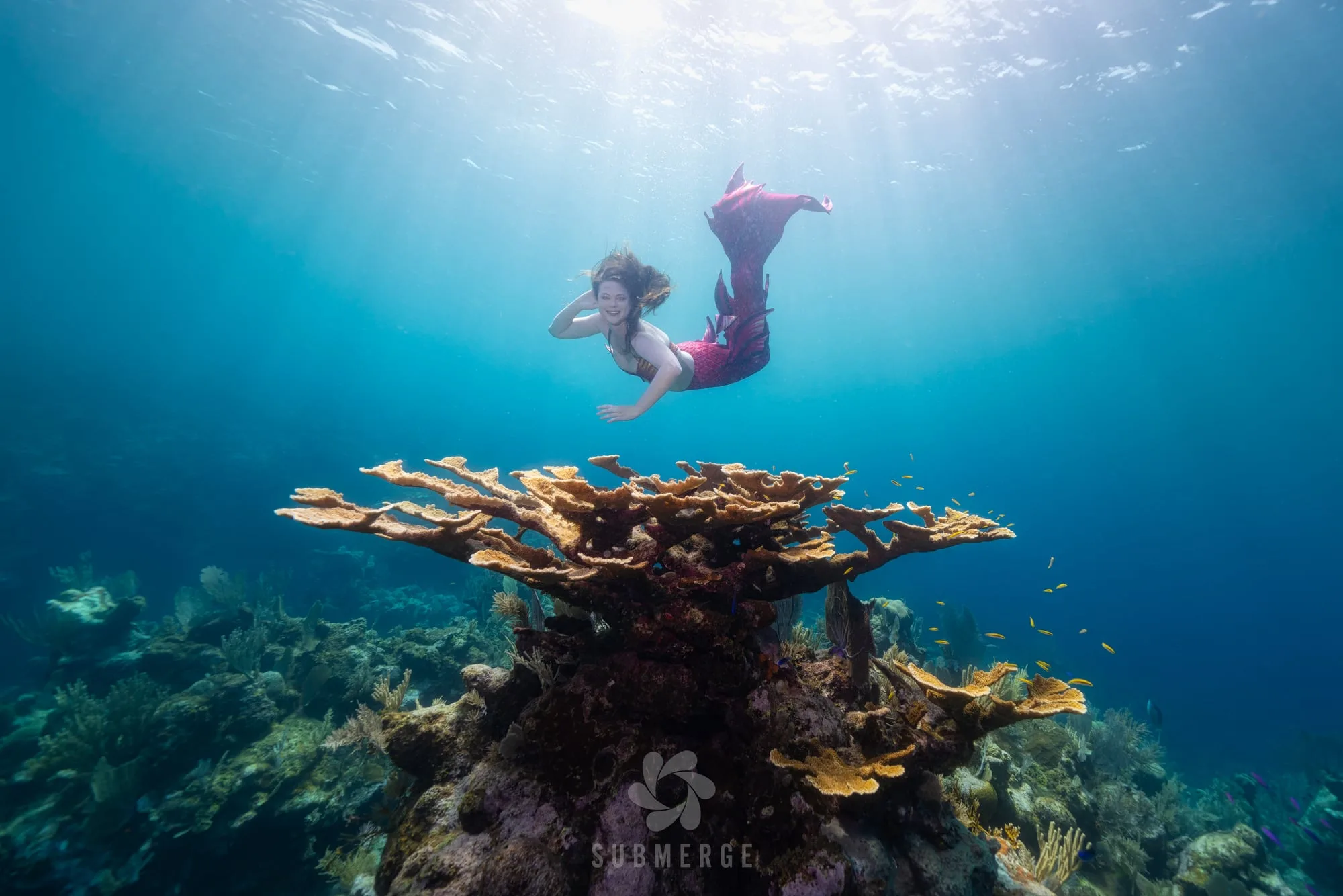 Photography: Mermaids: dsc01198 full