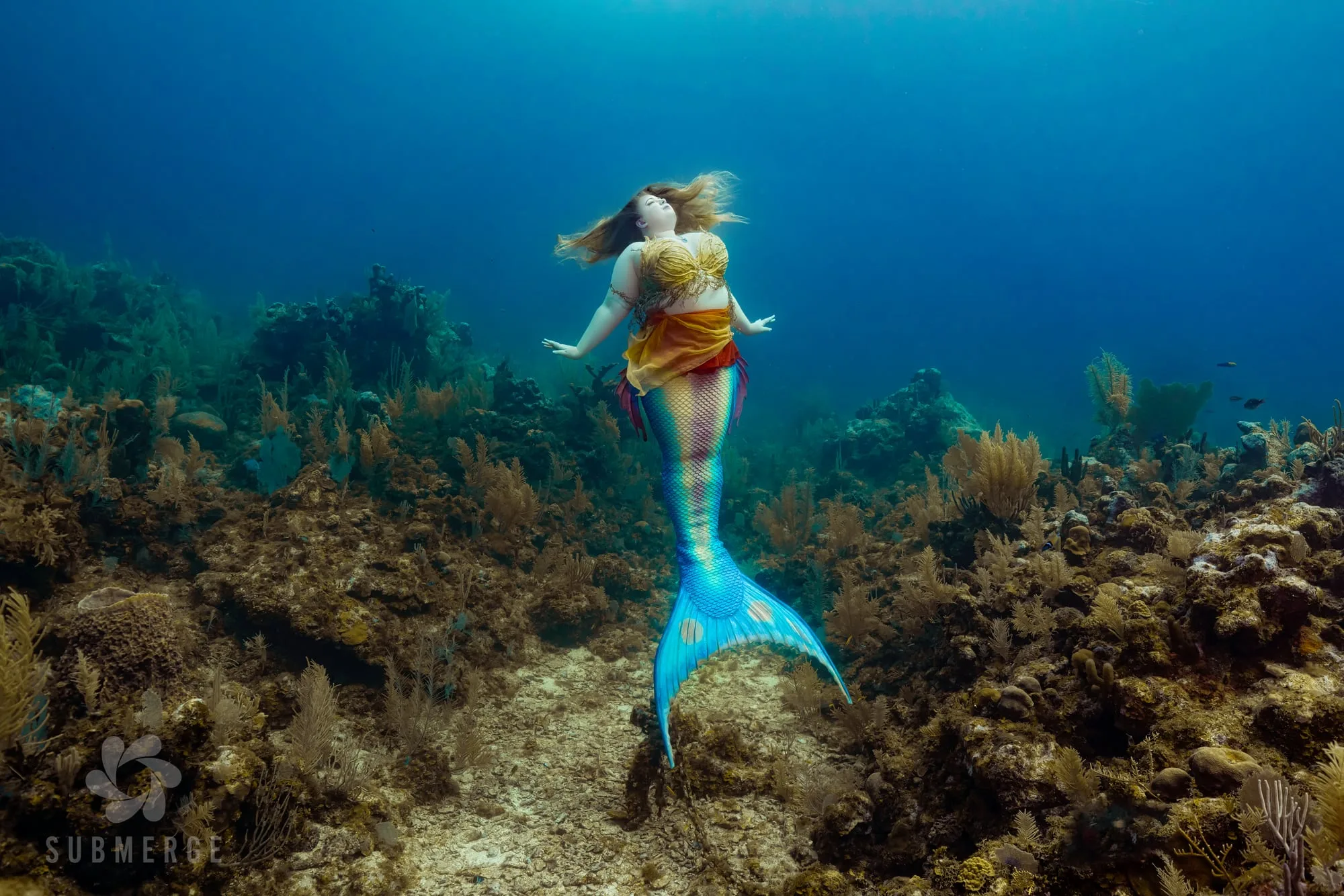 Photography: Mermaids: dsc03394 full