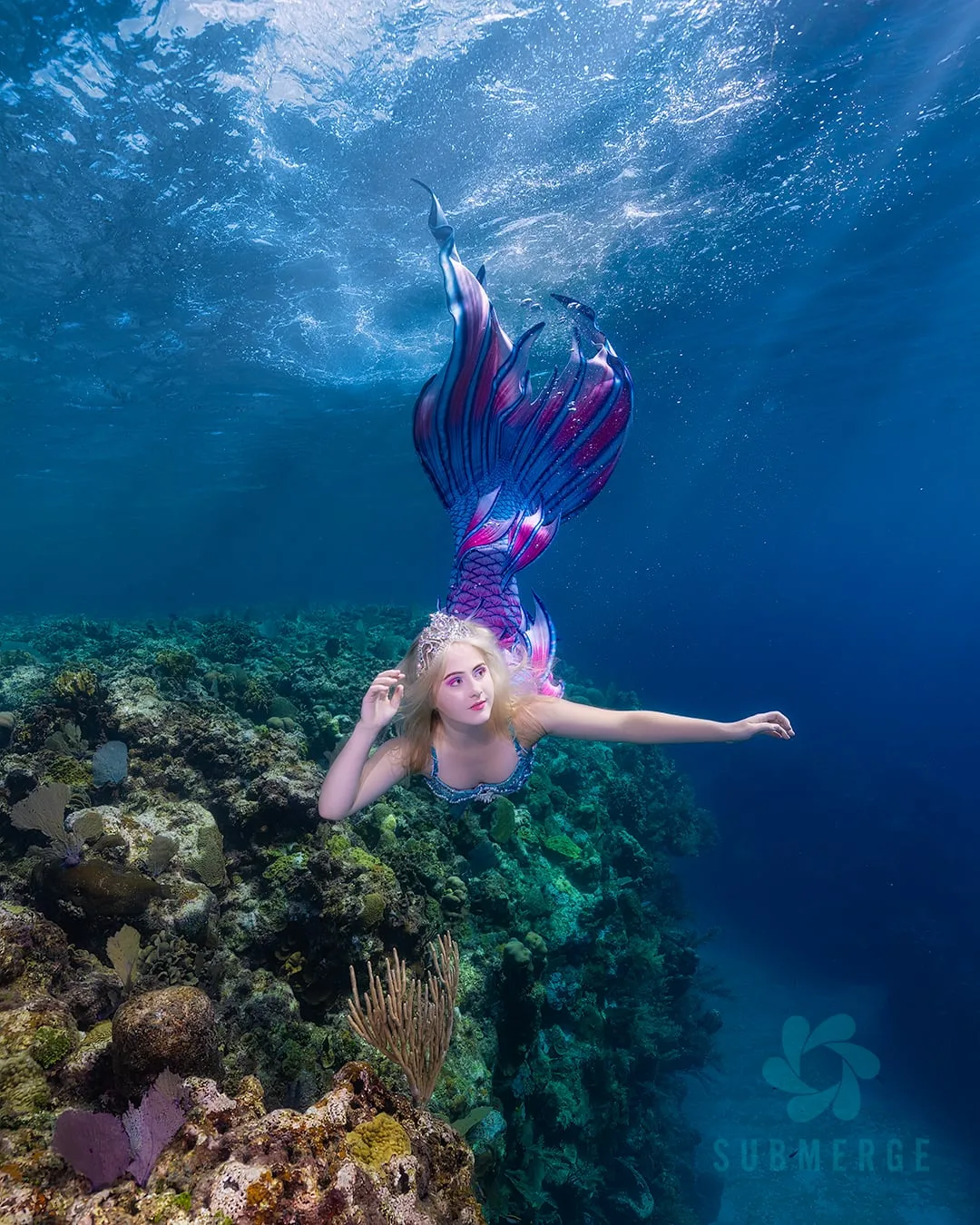 Photography: Mermaids: dsc00136 ig