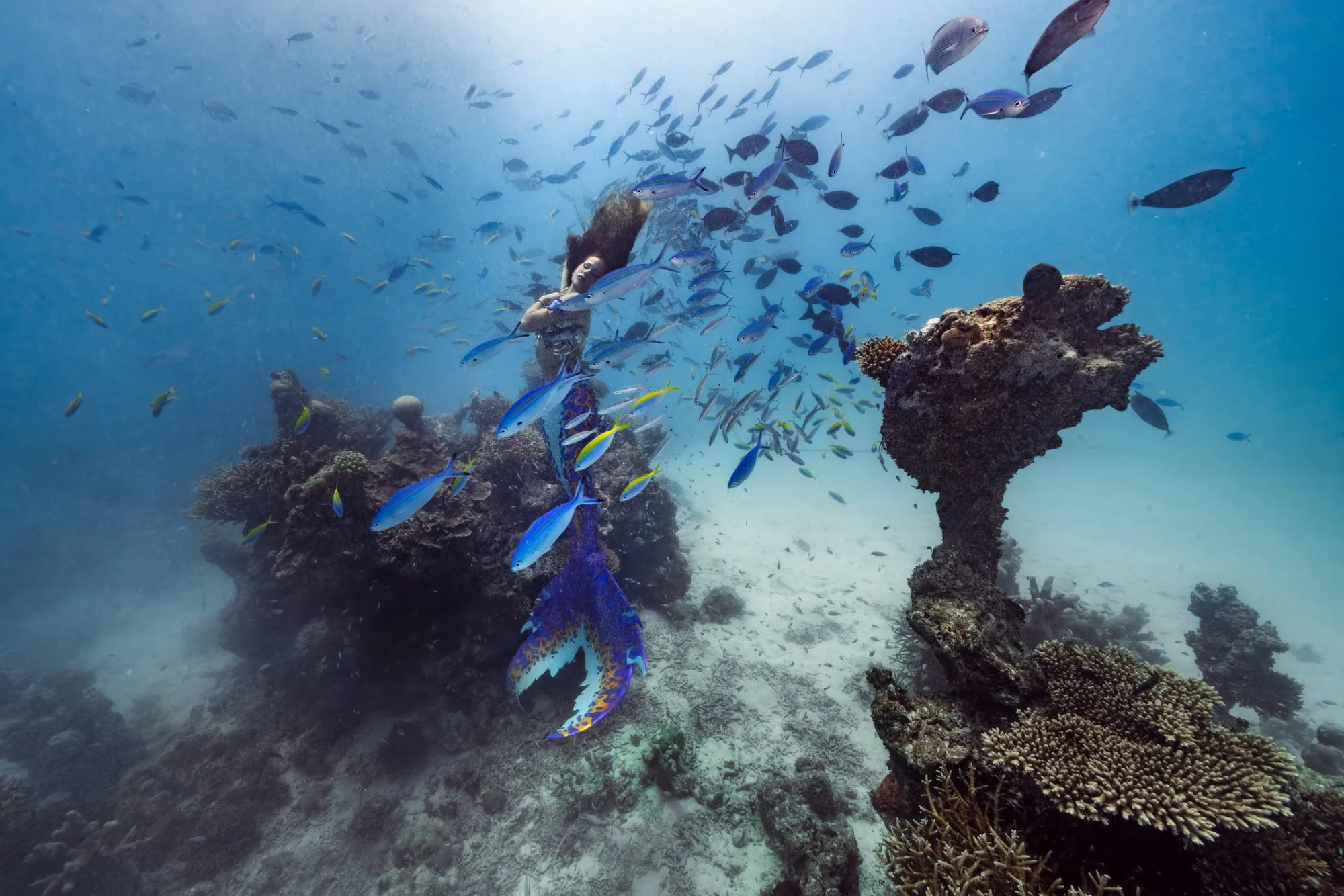 Photography: Mermaids: dsc00308