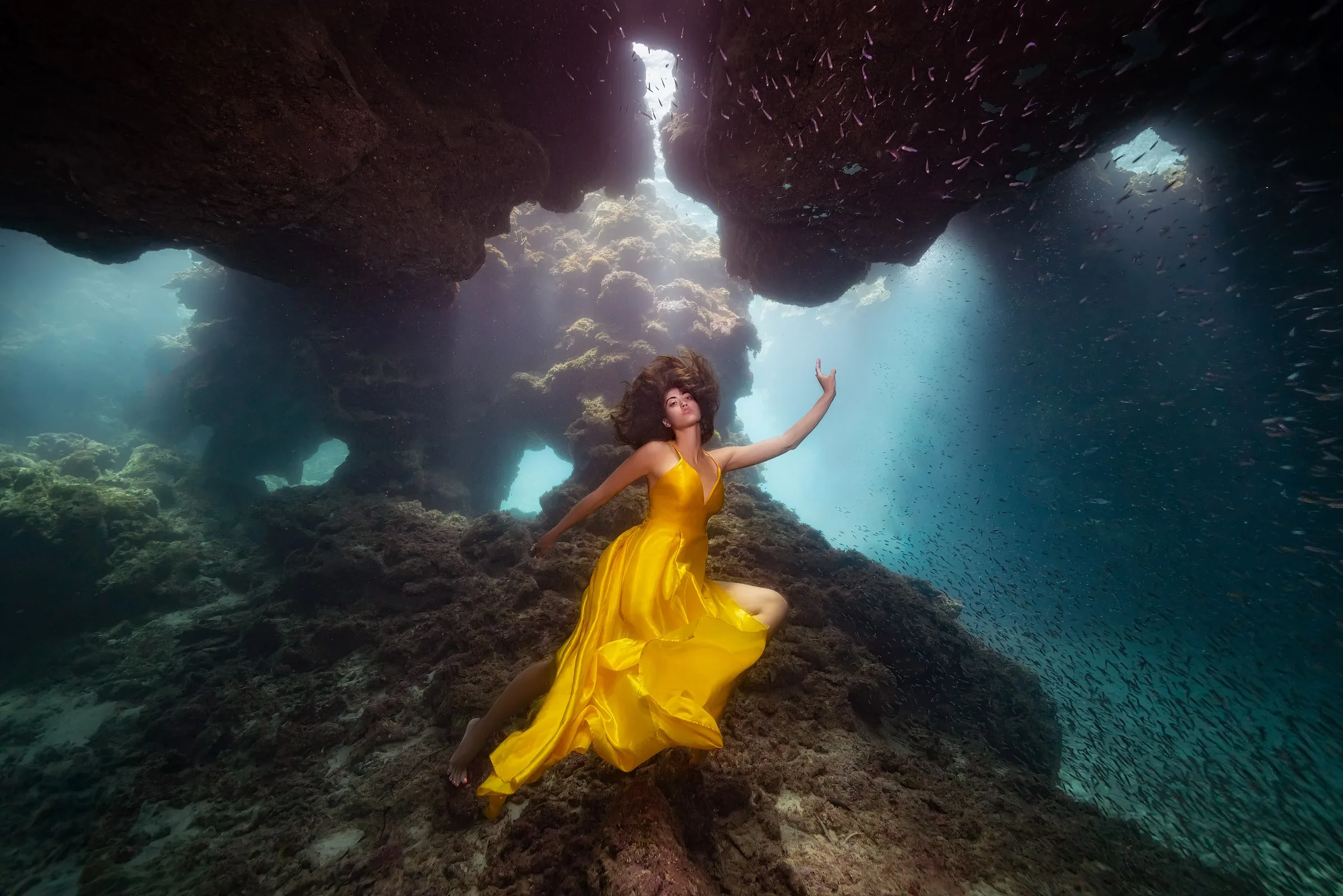 Roatán 2027: Dive Trip and Underwater Modeling Workshop: divider cave