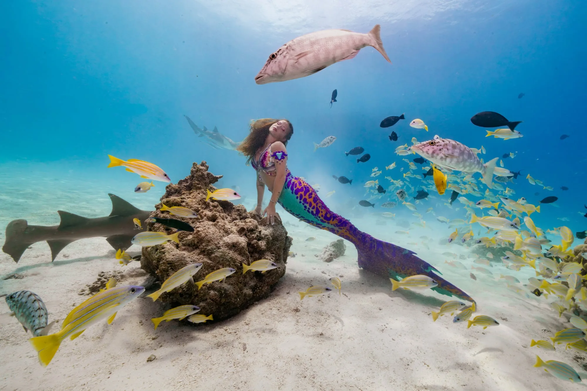Photography: Mermaids: dsc01385