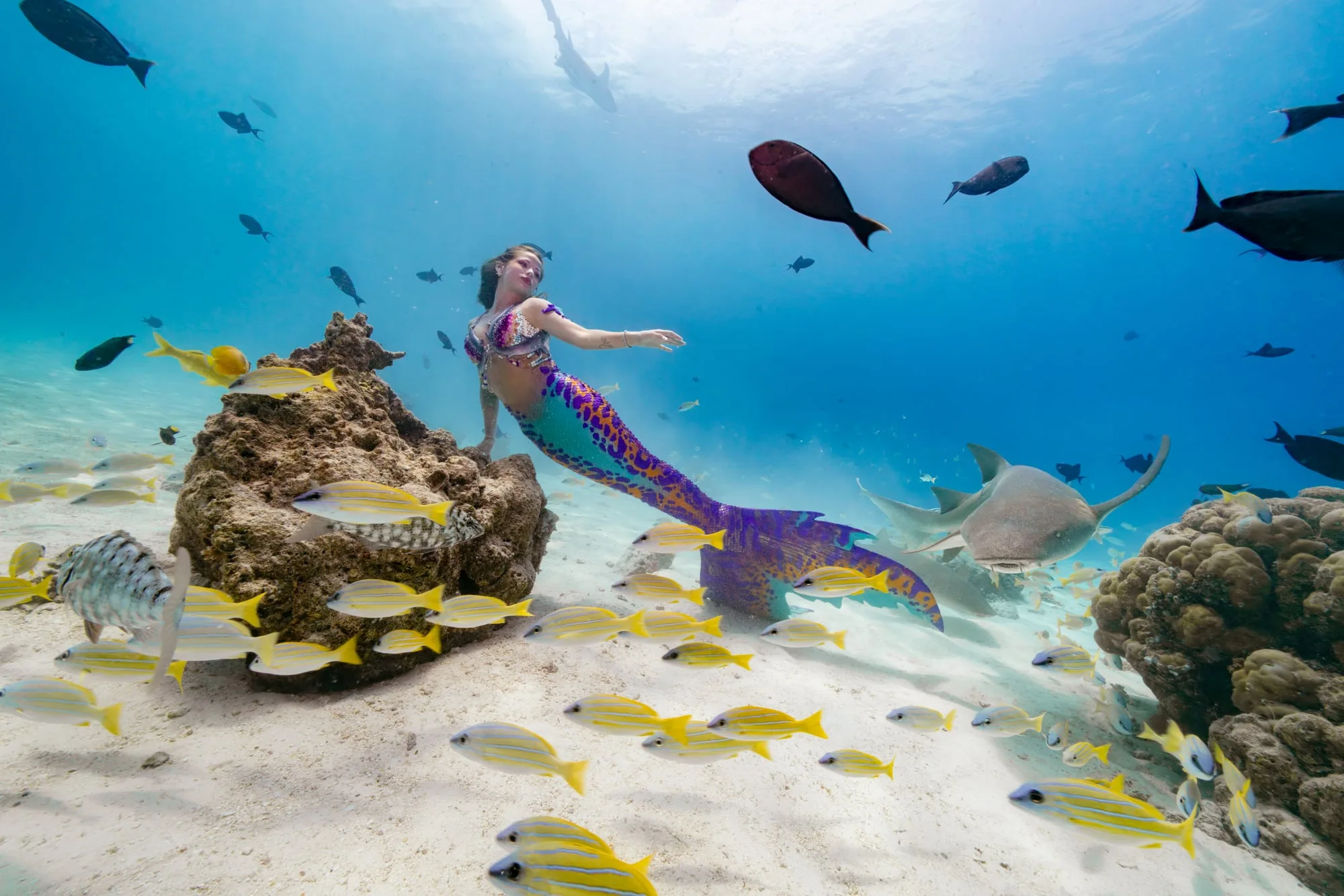 Photography: Mermaids: dsc01391