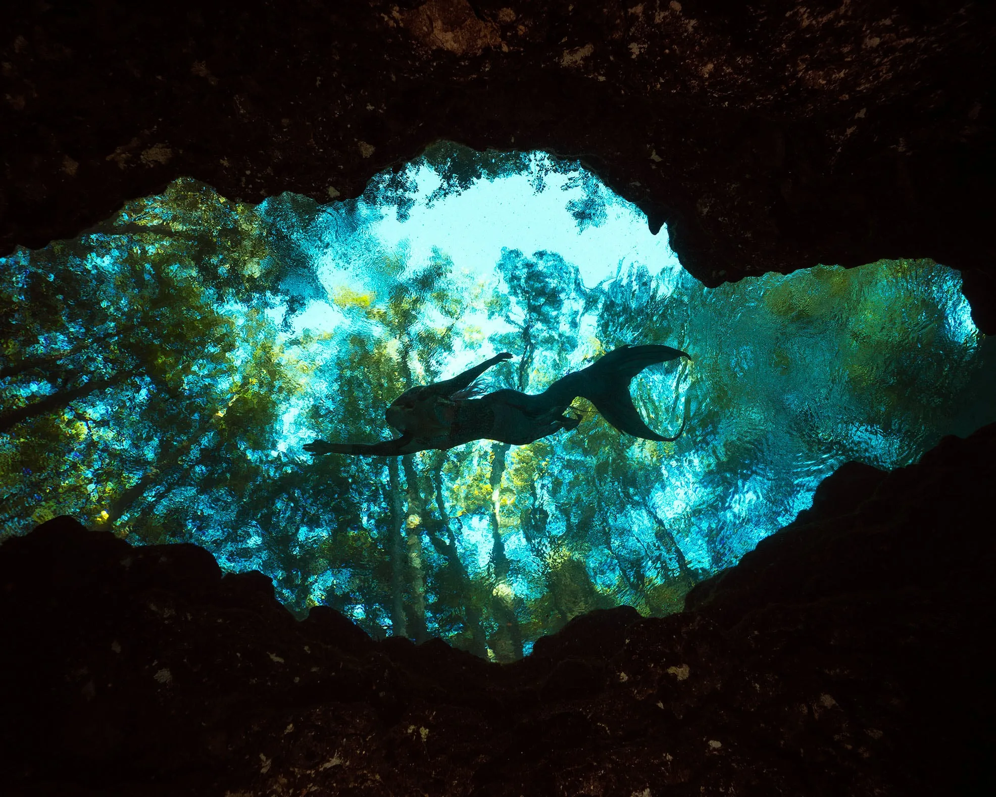 Photography: Mermaids: dsc06679 v2 4k