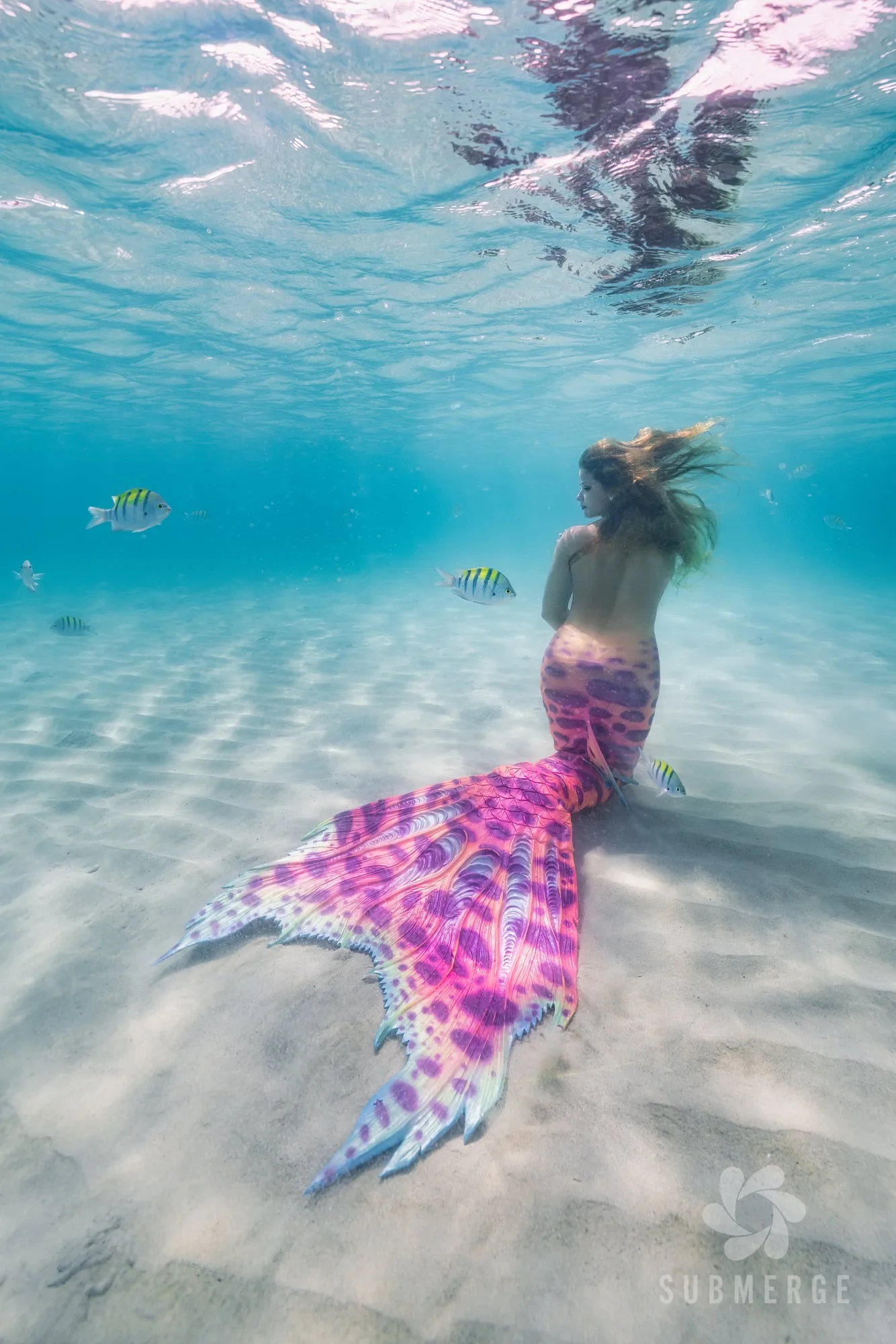 Photography: Mermaids: dsc00803 full