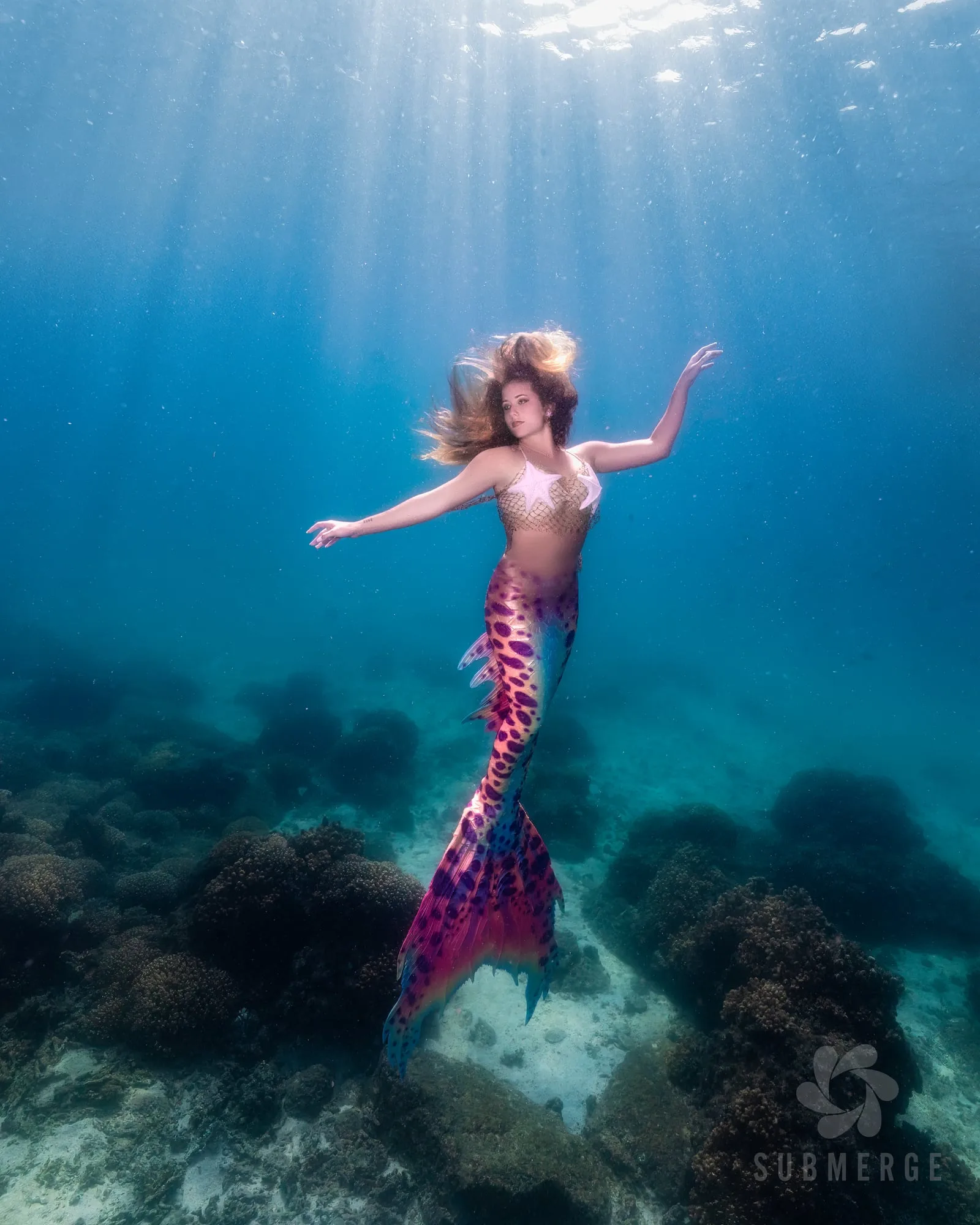 Photography: Mermaids: dsc02650 full