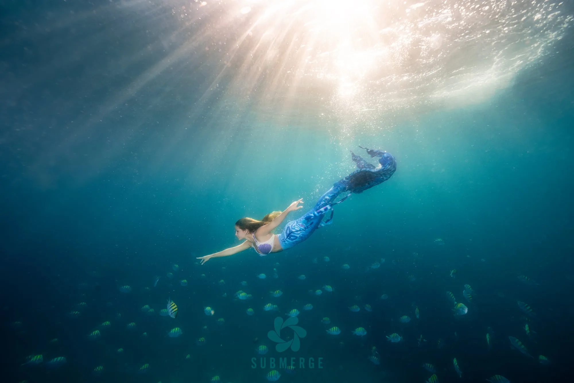 Photography: Mermaids: dsc03256 full