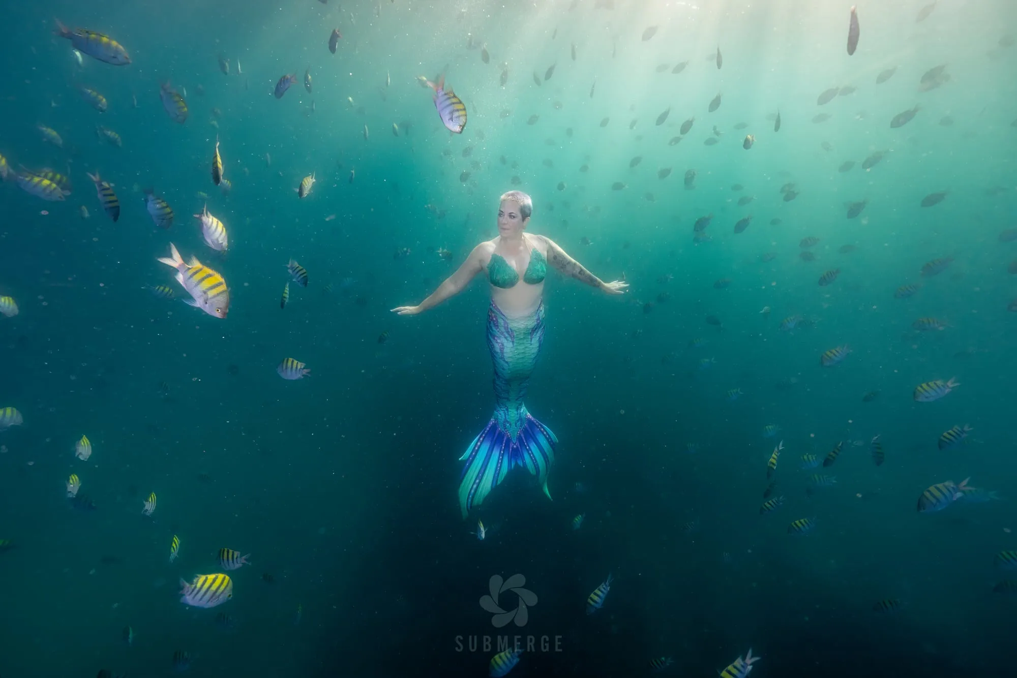 Photography: Mermaids: dsc03320 full