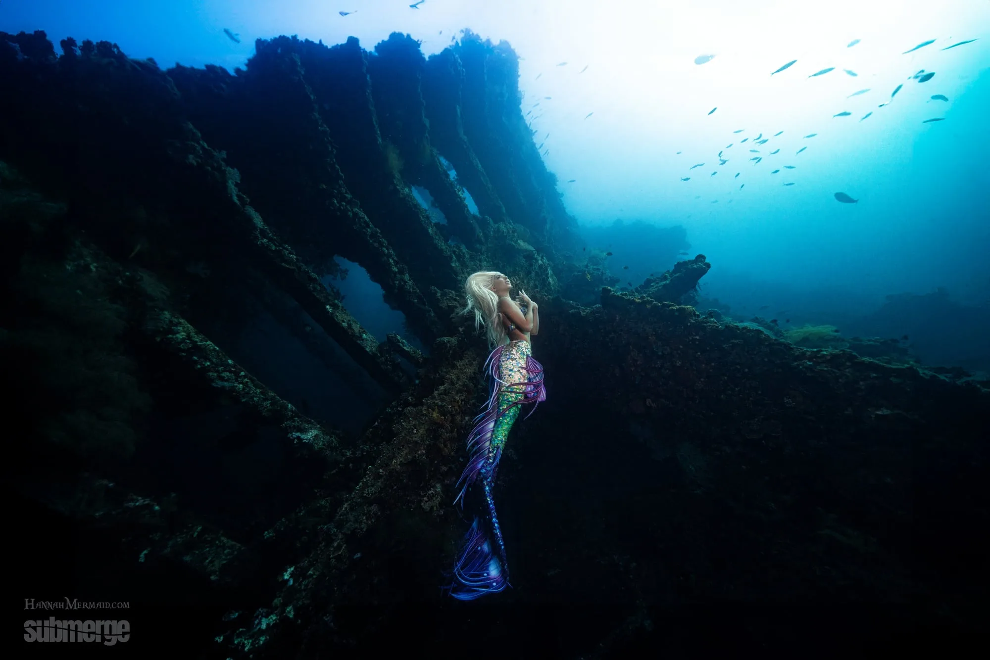 Photography: Mermaids: dsc07364 full