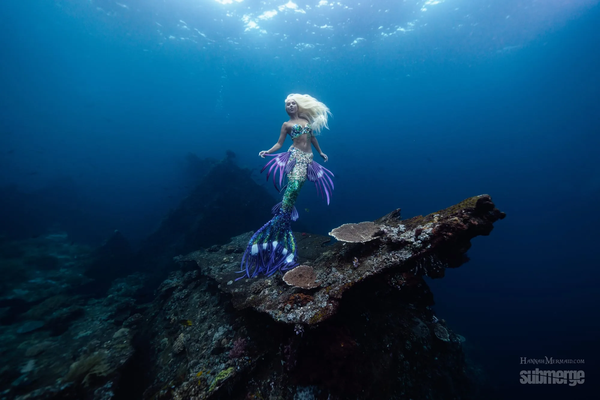 Photography: Mermaids: dsc09188 full v2