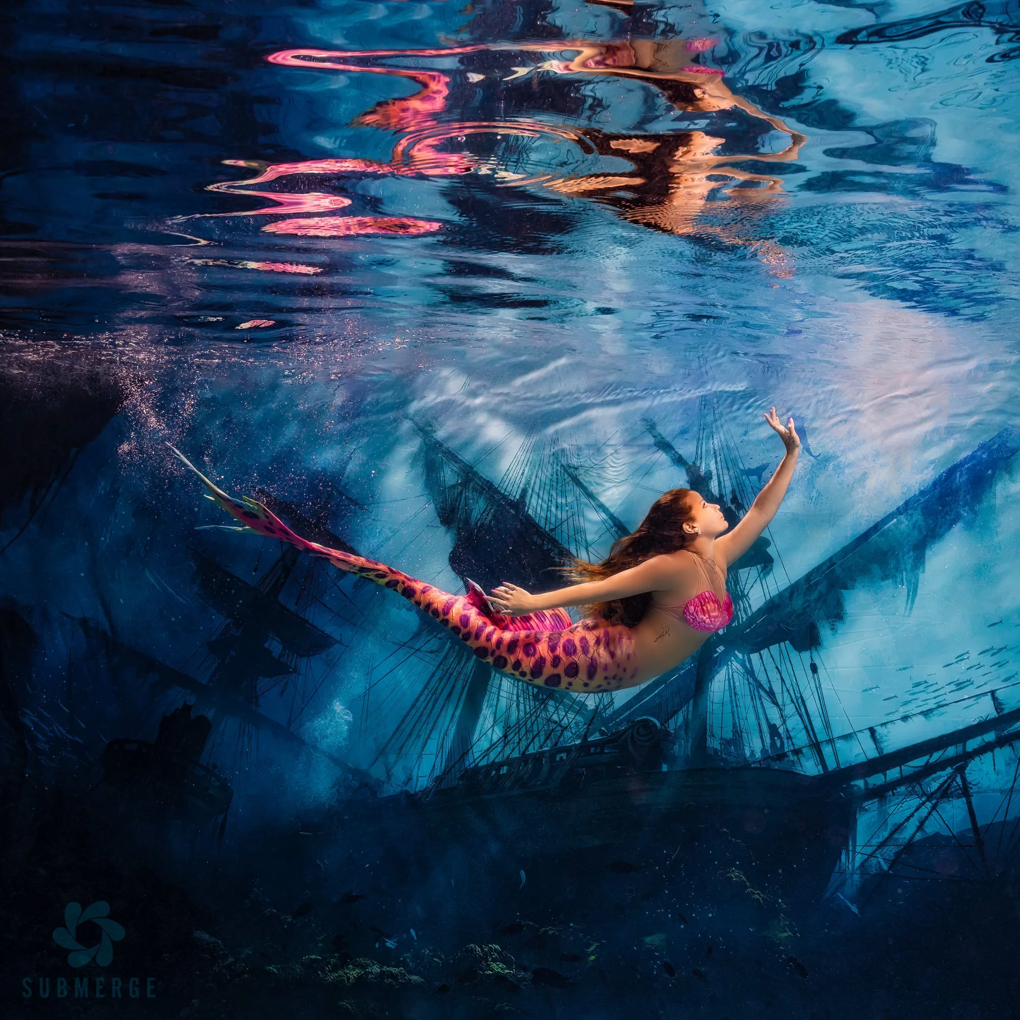 Photography: Mermaids: dsc00167 full