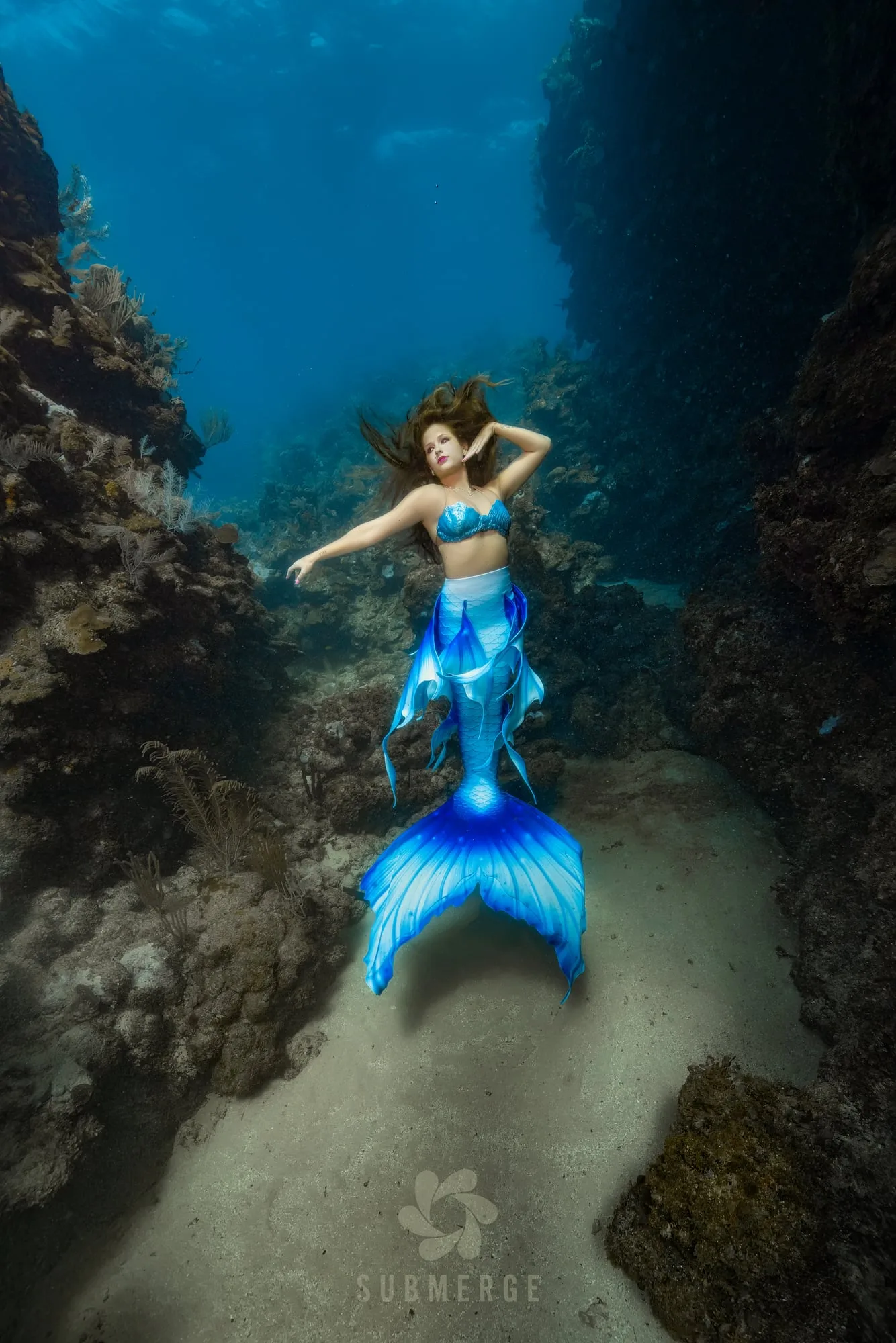 Photography: Mermaids: dsc01848 full