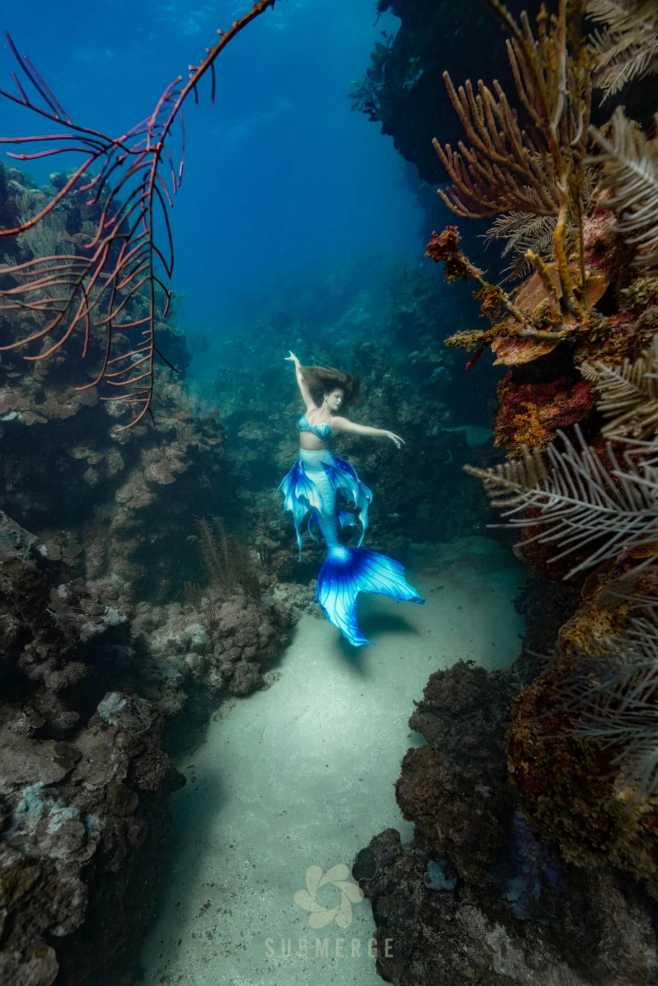 Photography: Mermaids: dsc01868 full