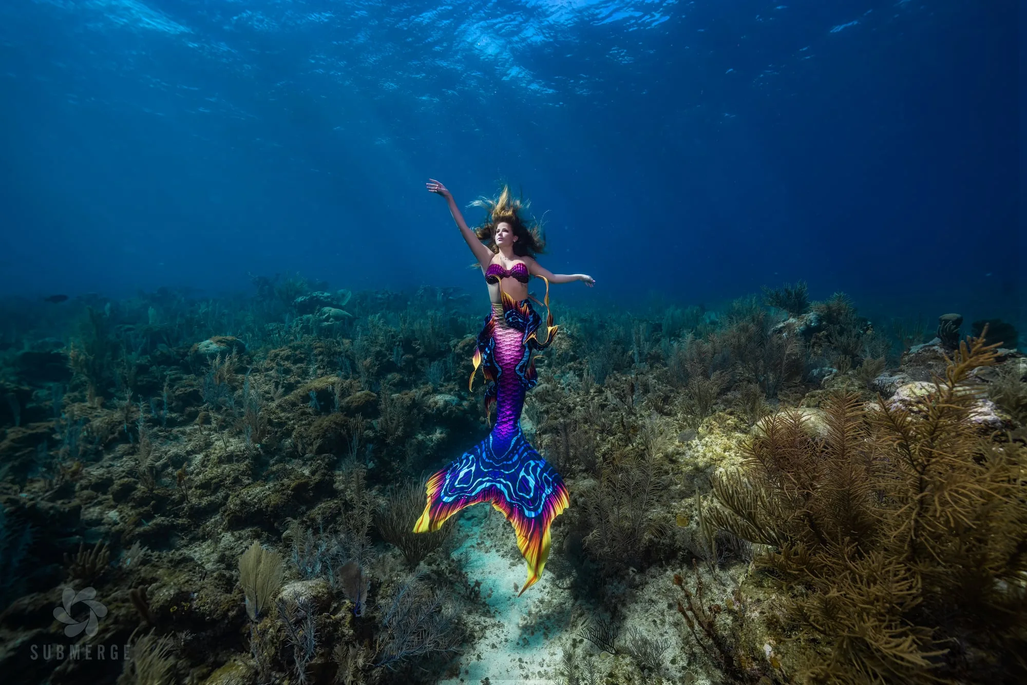 Photography: Mermaids: dsc09404 full