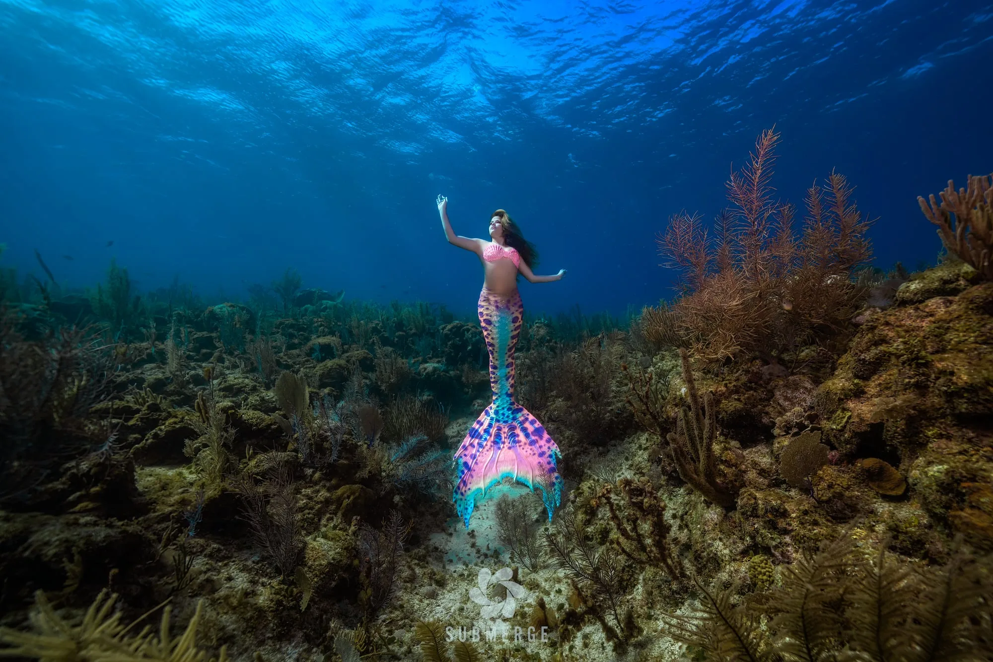 Photography: Mermaids: dsc09628 full