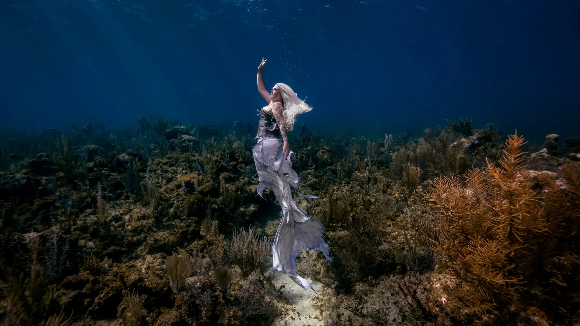 Photography: Mermaids: finals 6