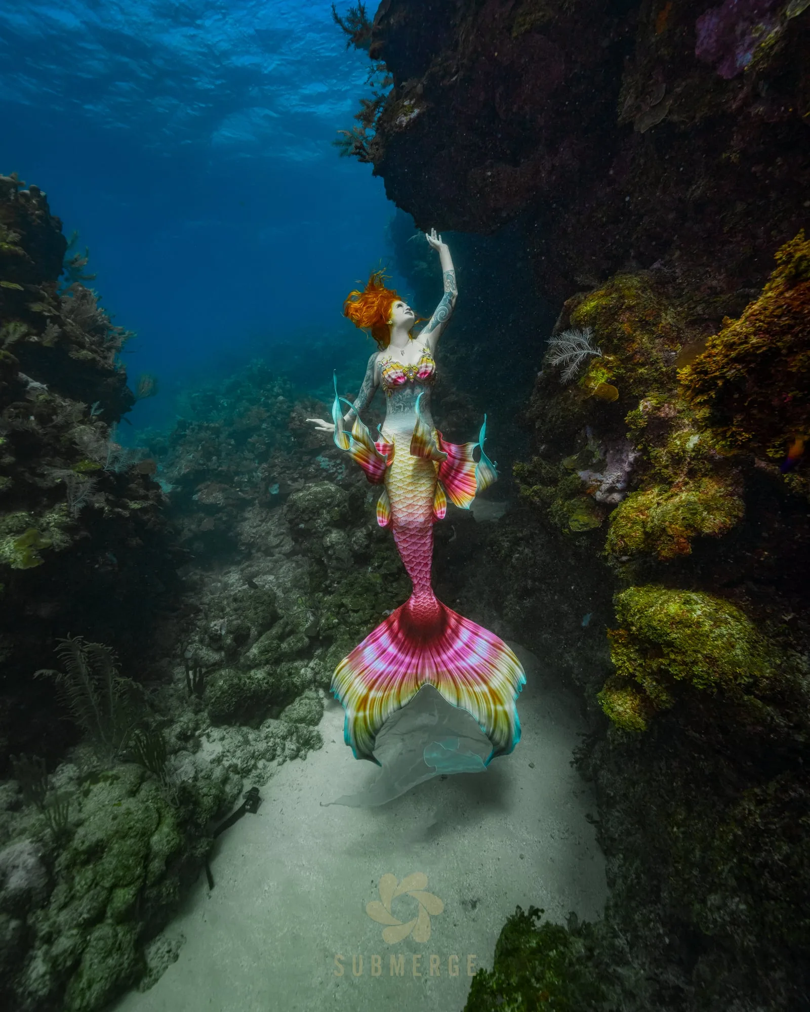 Photography: Mermaids: dsc02195 full v2