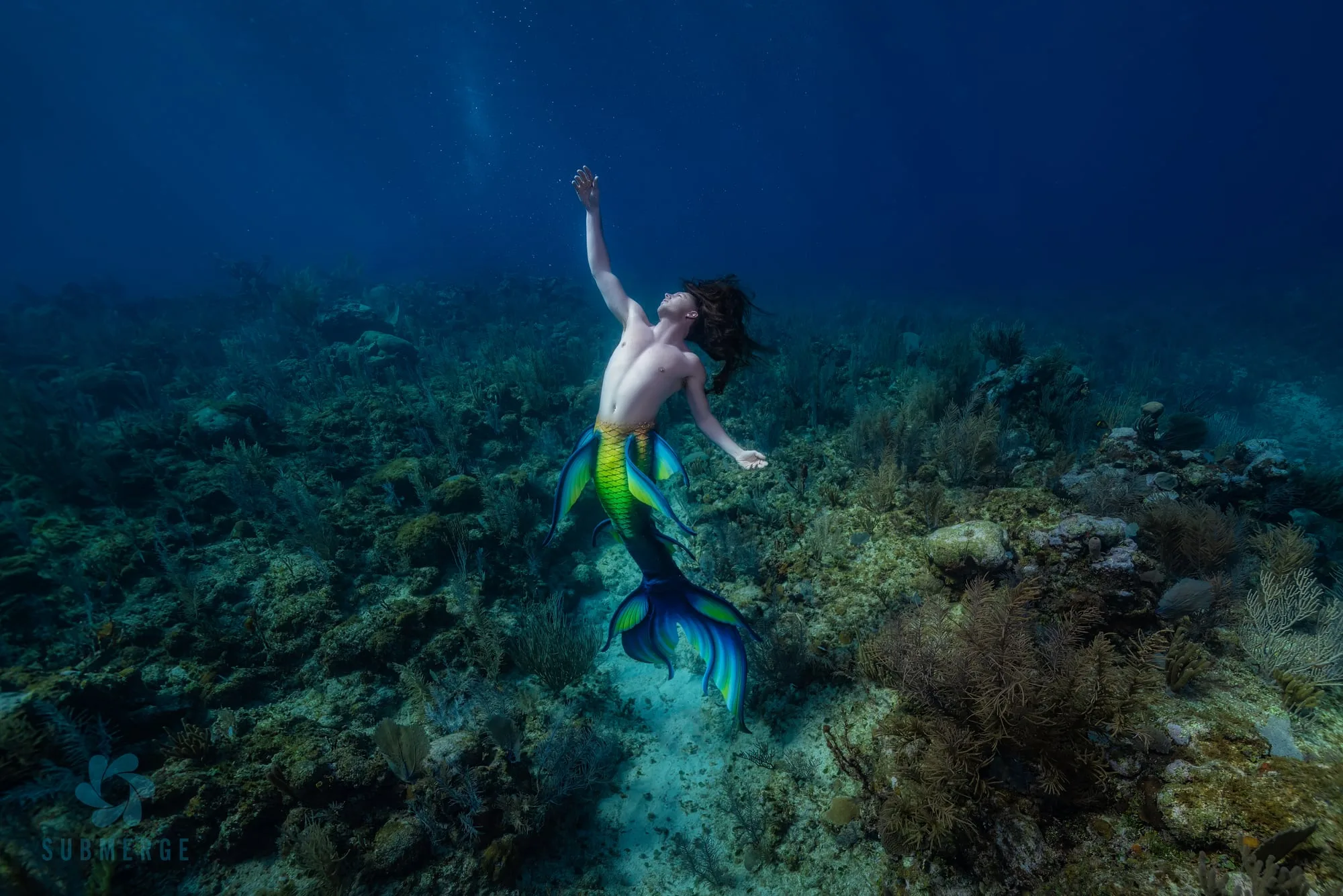 Photography: Mermaids: dsc09473 full