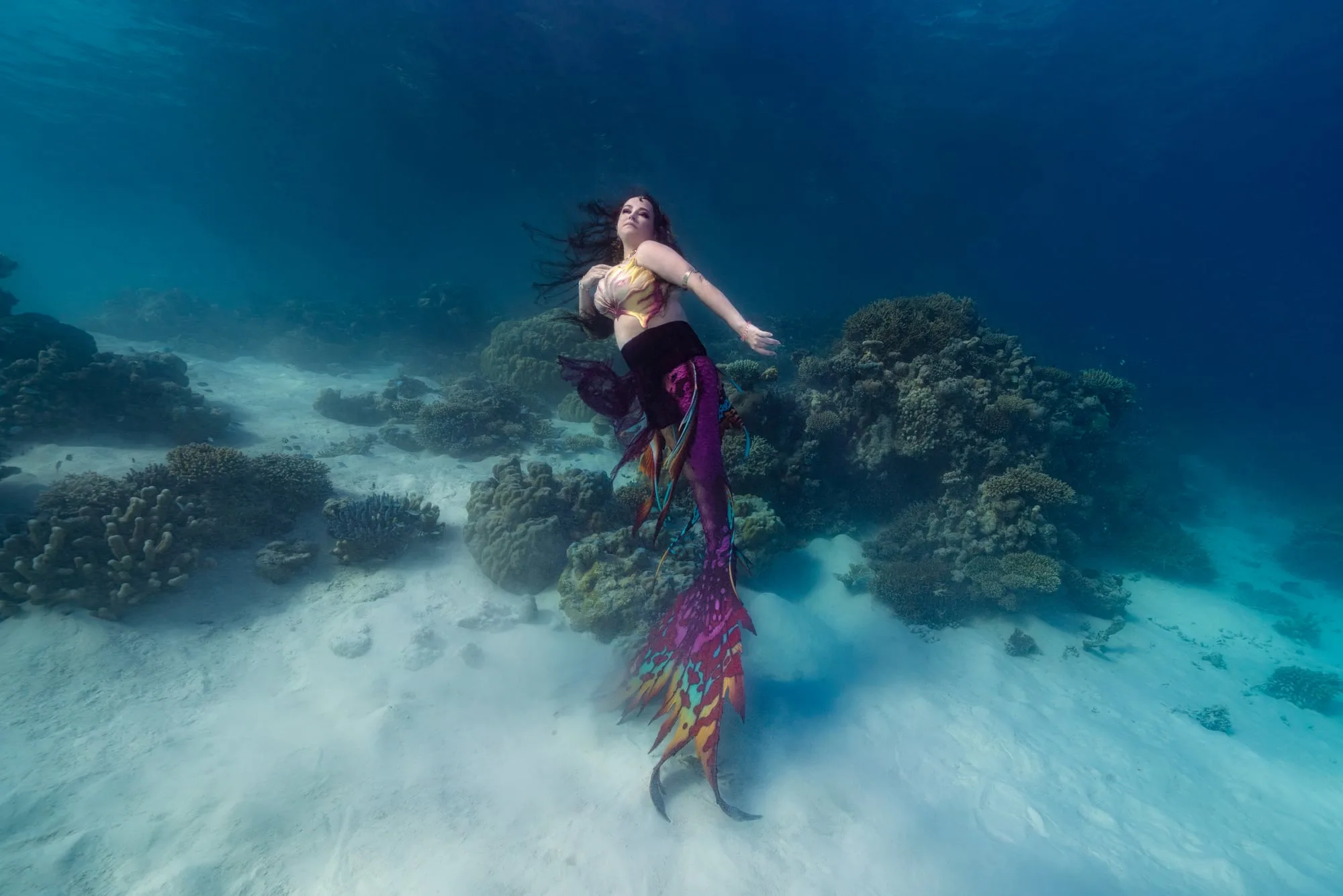 Photography: Mermaids: dsc00637