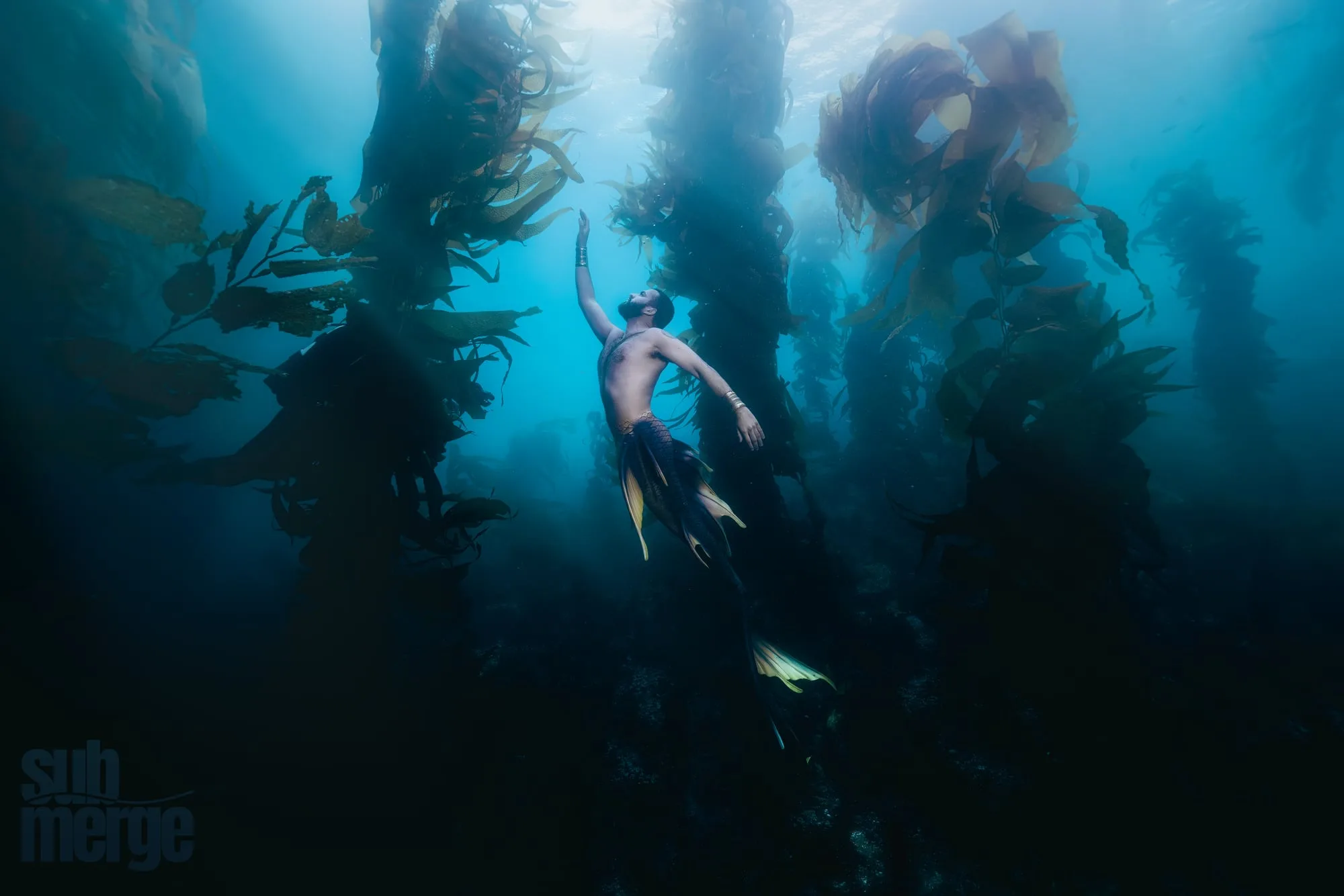Photography: Mermaids: dsc00615 full