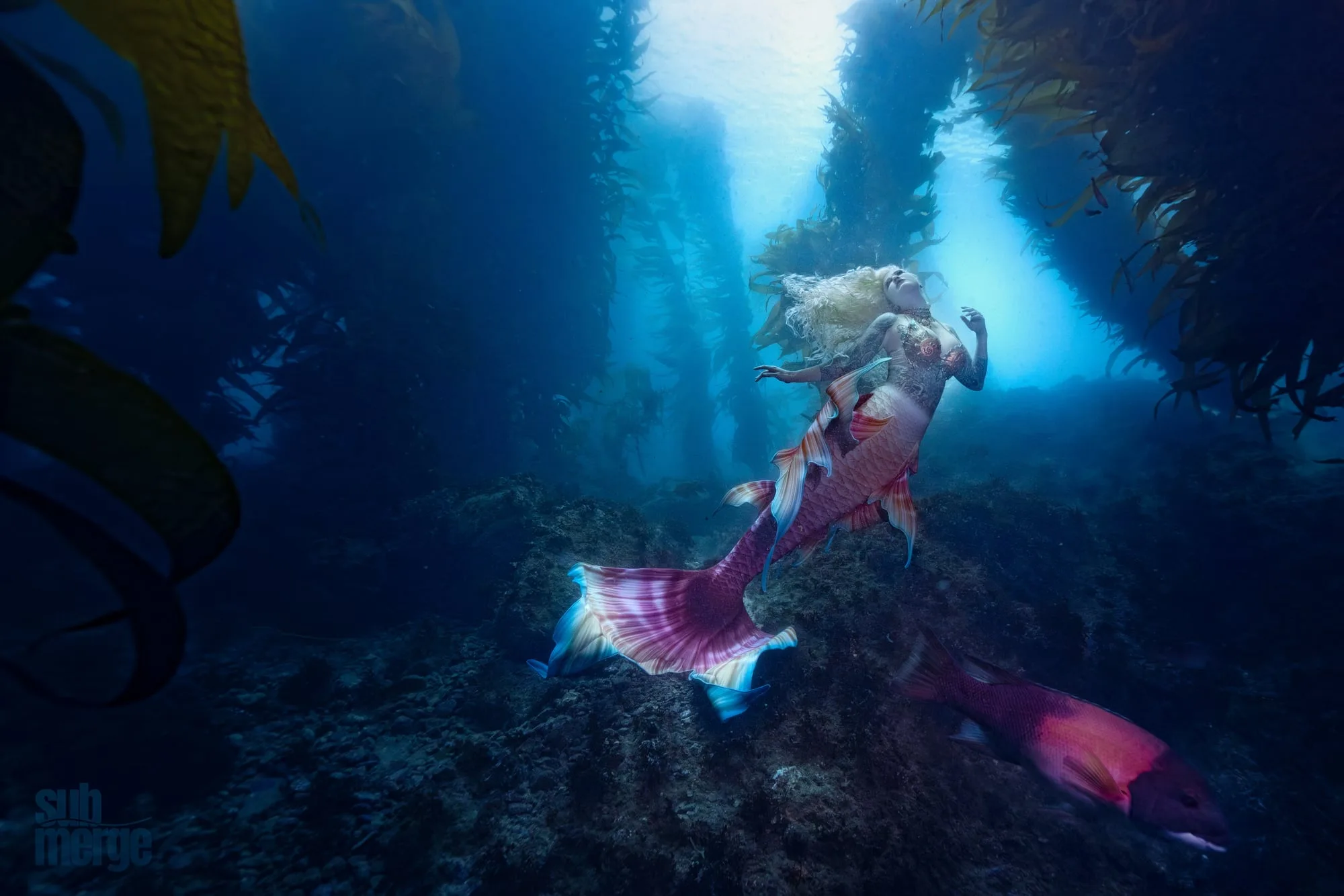 Photography: Mermaids: dsc00983 full v2