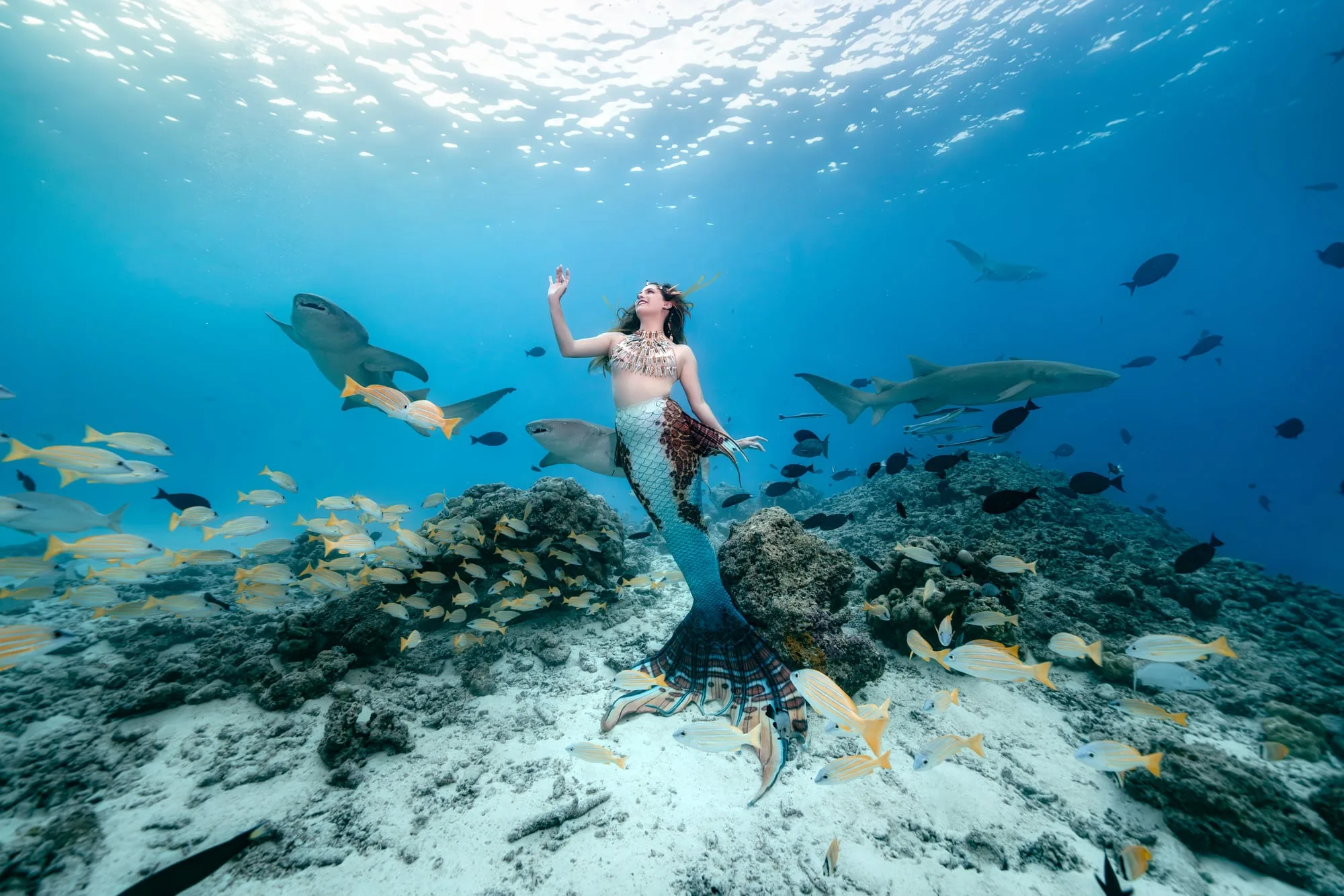 Photography: Mermaids: dsc02330