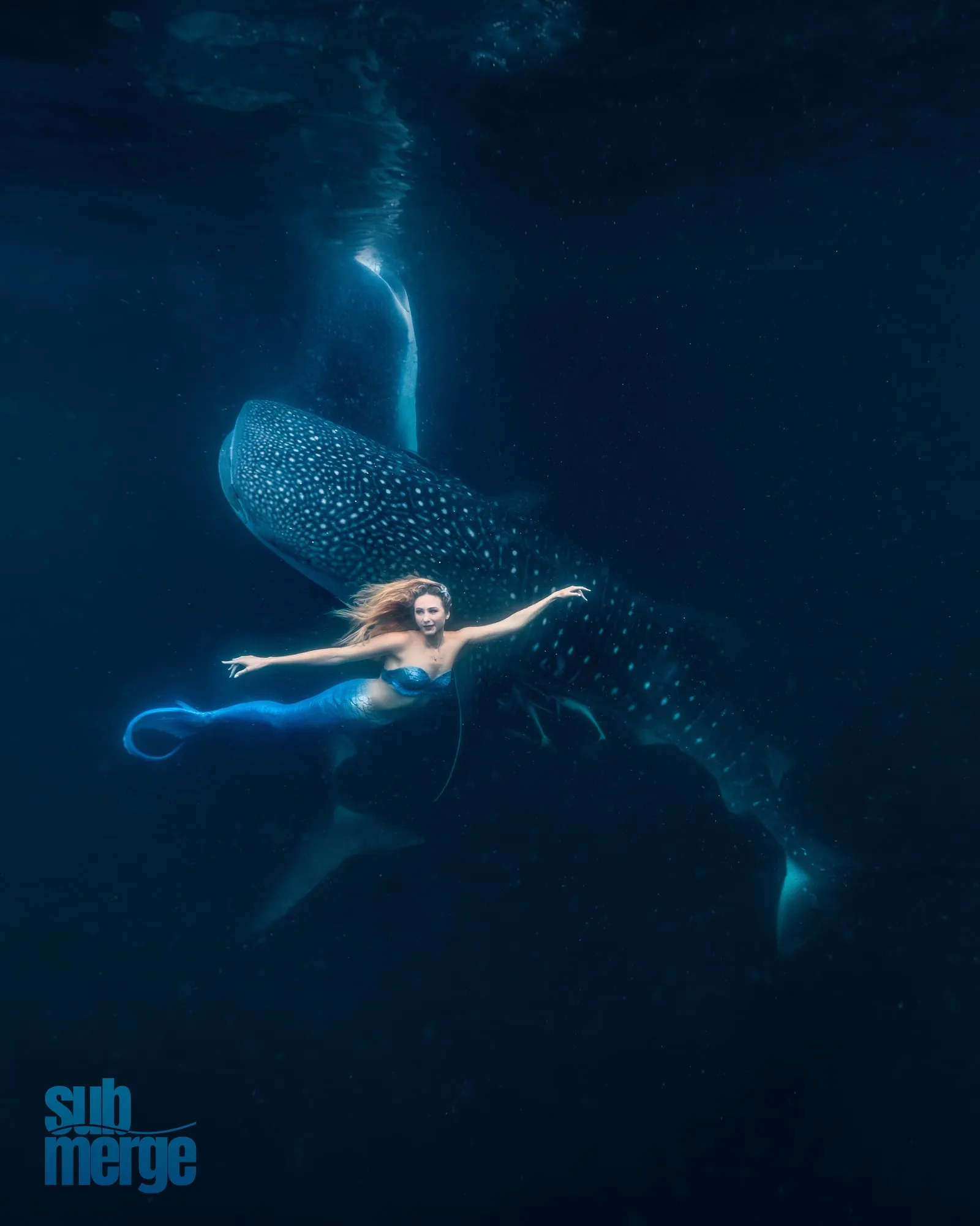 Photography: Mermaids: dsc01433 full