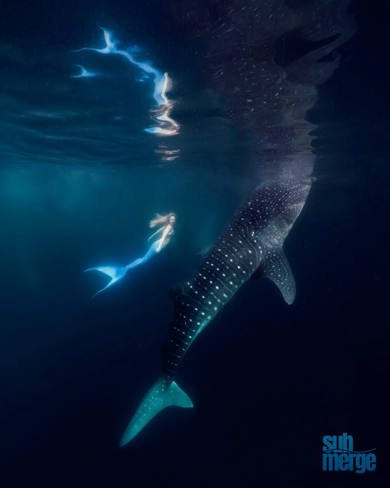Photography: Mermaids: dsc02032 full