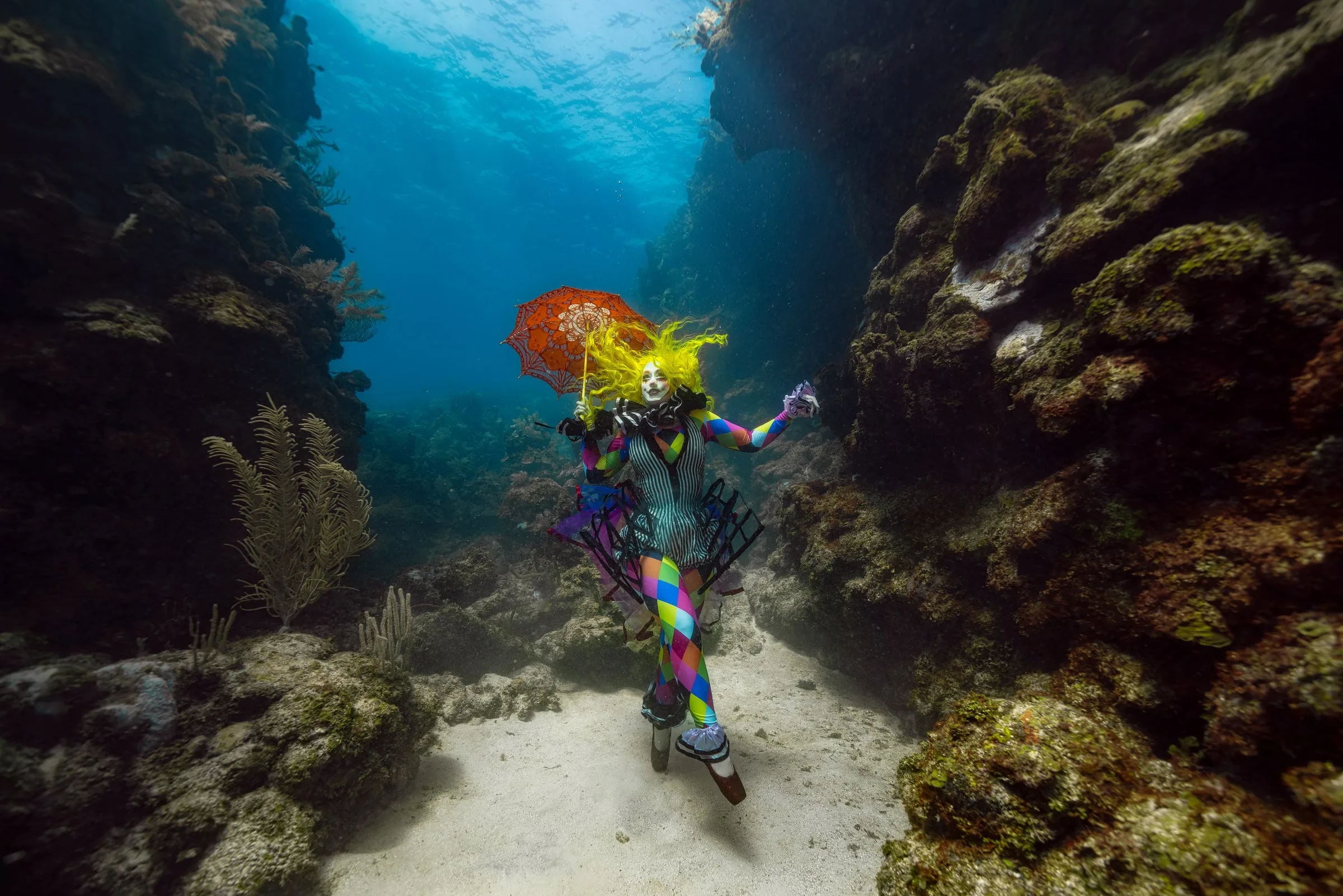 Roatán 2027: Dive Trip and Underwater Modeling Workshop: dsc09071 clean