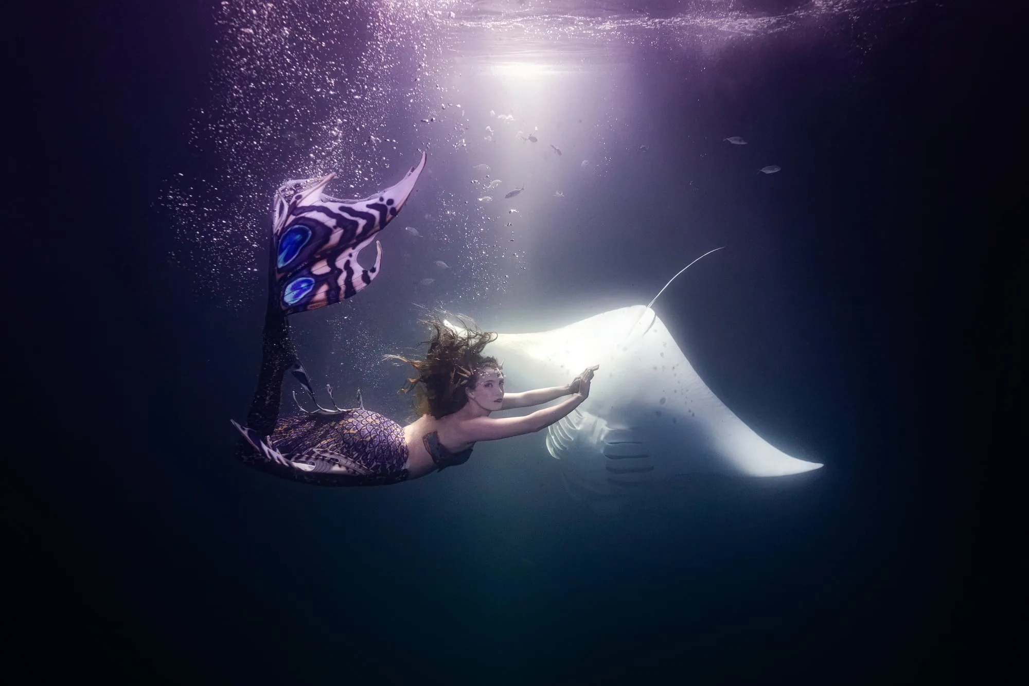 Photography: Mermaids: dsc09945