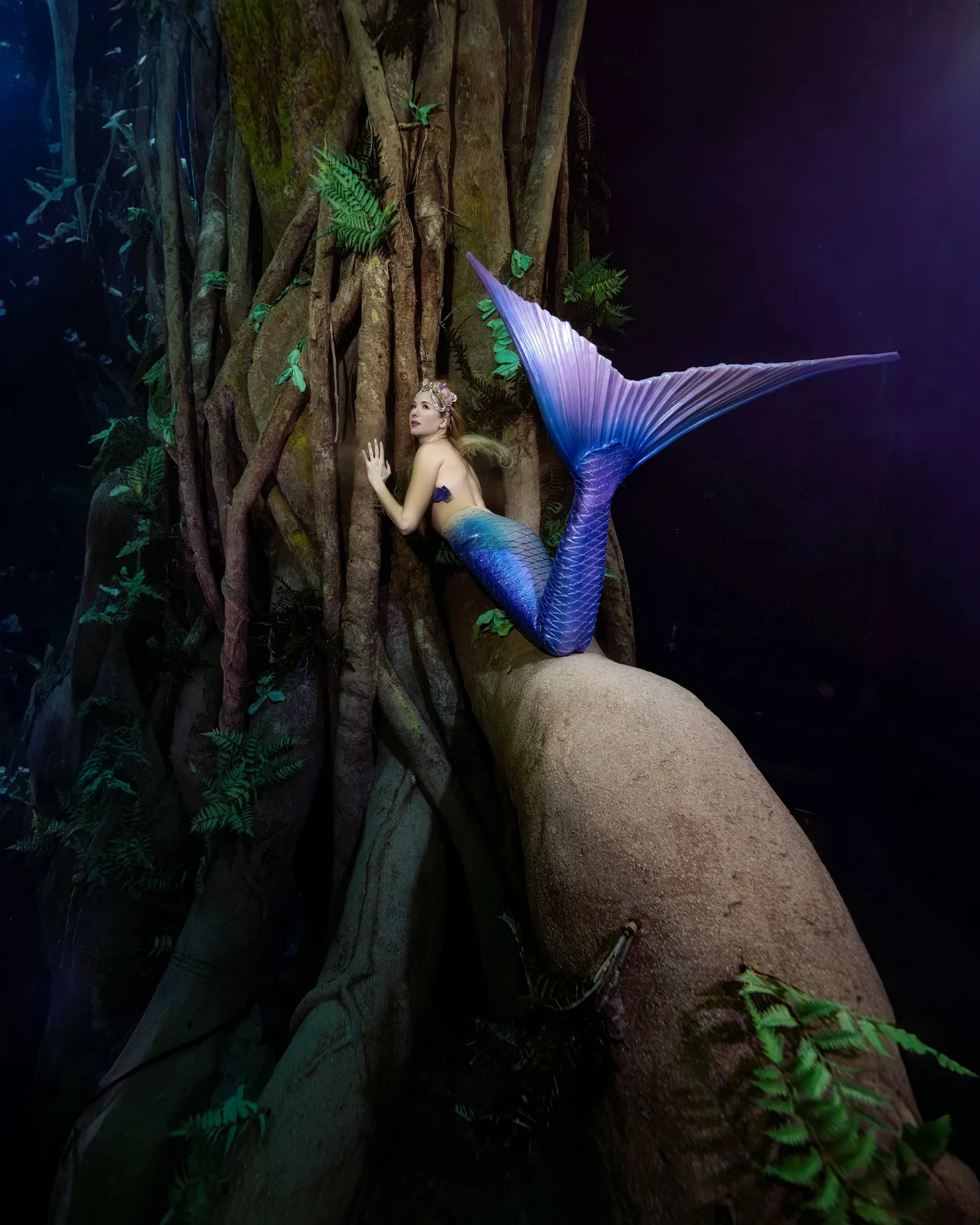Photography: Mermaids: dsc02785 clean