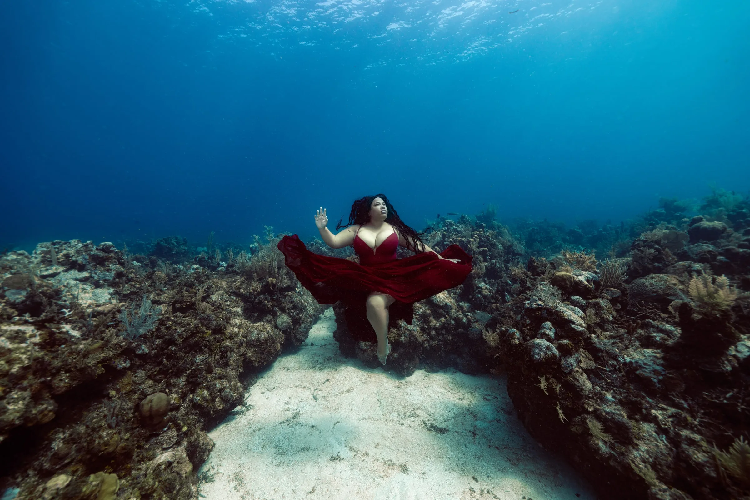 Roatán 2027: Dive Trip and Underwater Modeling Workshop: dsc00150 clean