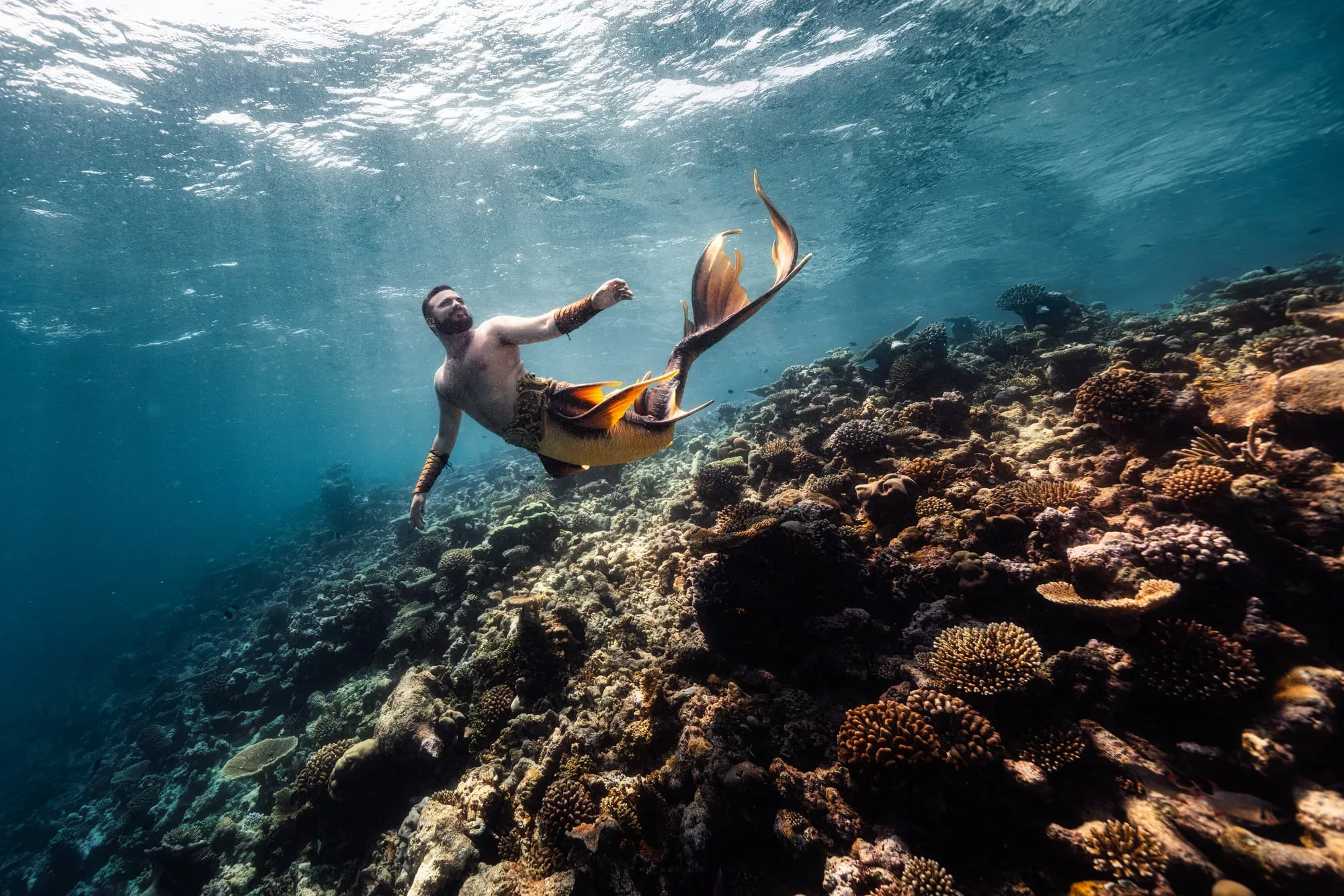 Photography: Mermaids: dsc05477 clean