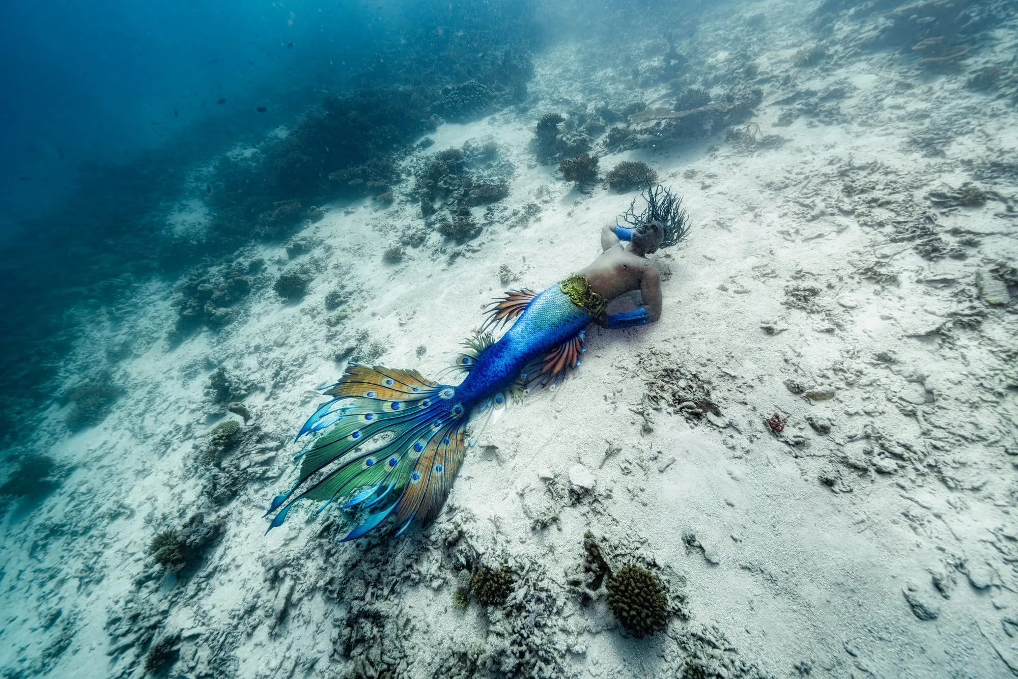 Photography: Mermaids: dsc05868 clean