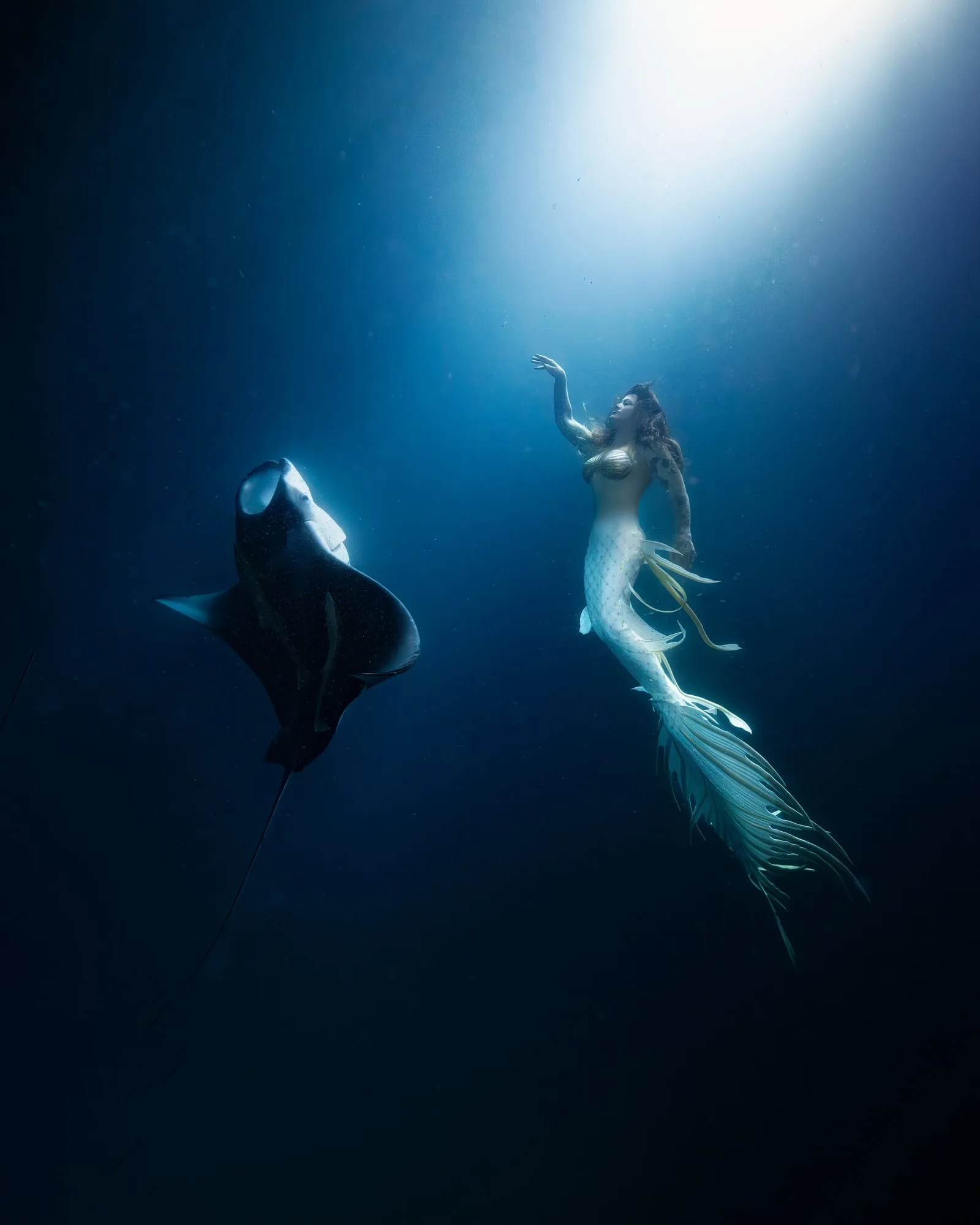 Photography: Mermaids: dsc04209 clean