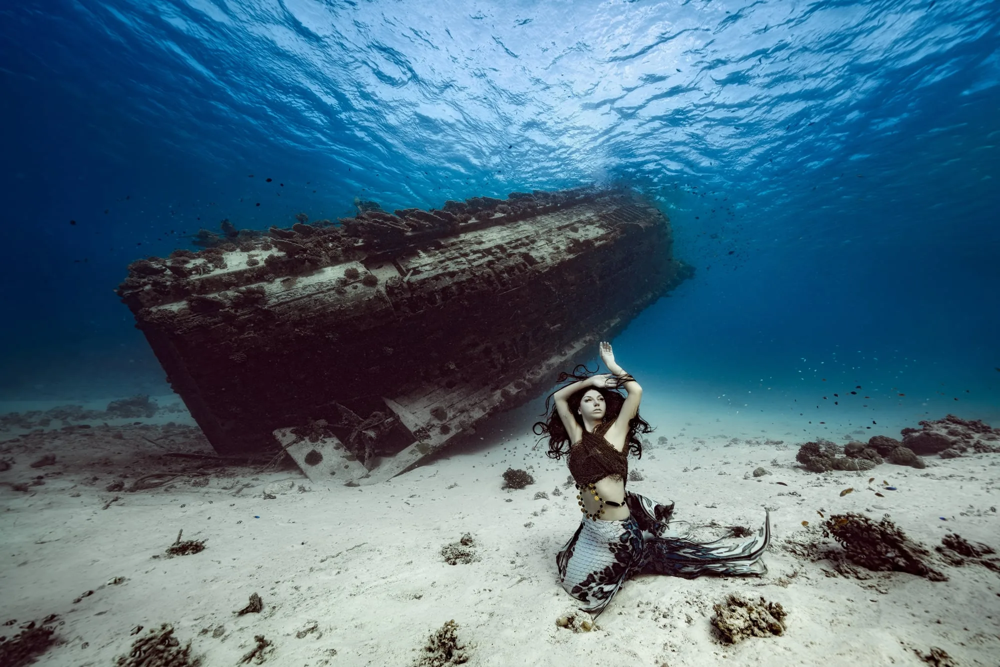 Photography: Mermaids: dsc00126 clean