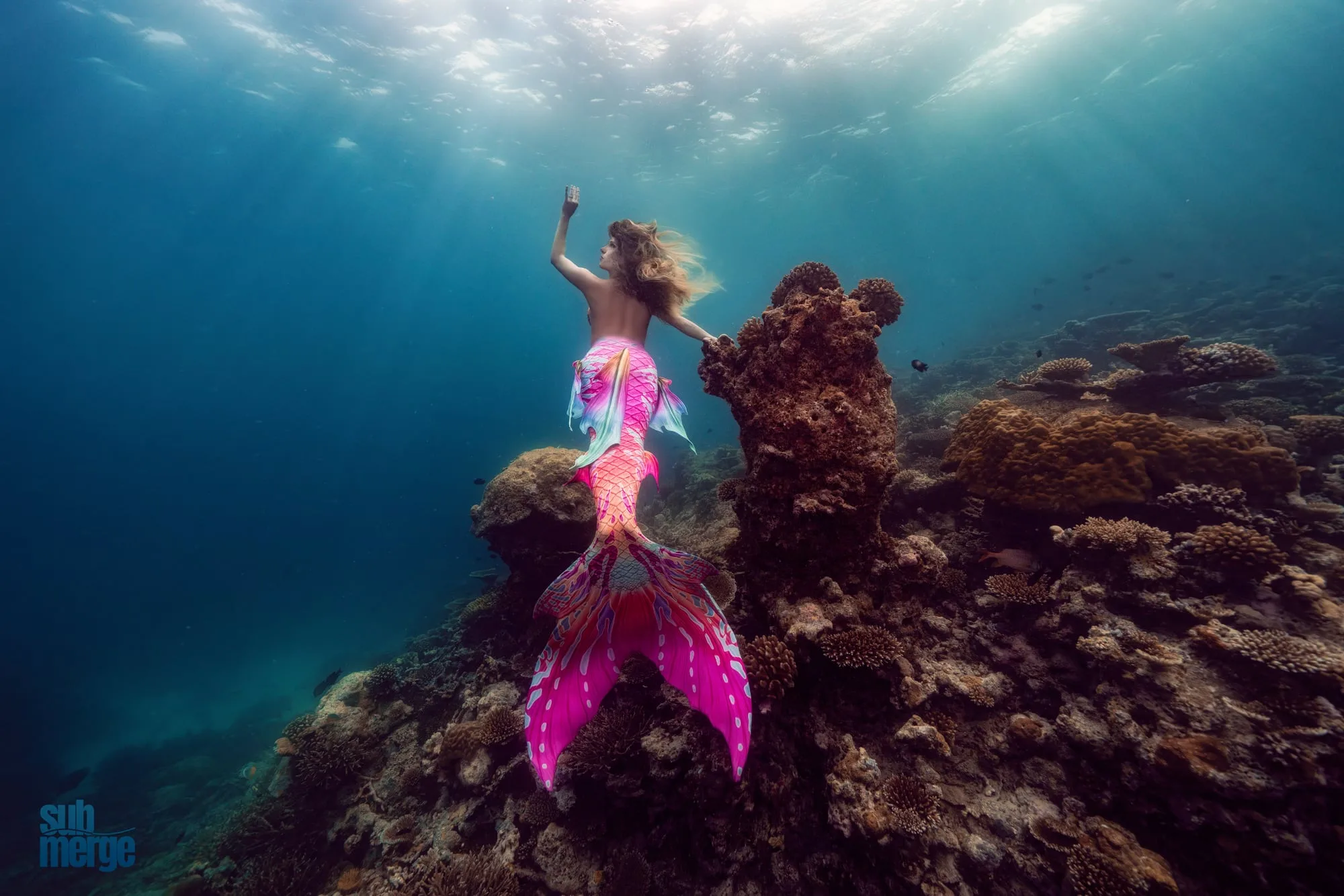 Photography: Mermaids: dsc02724 clean