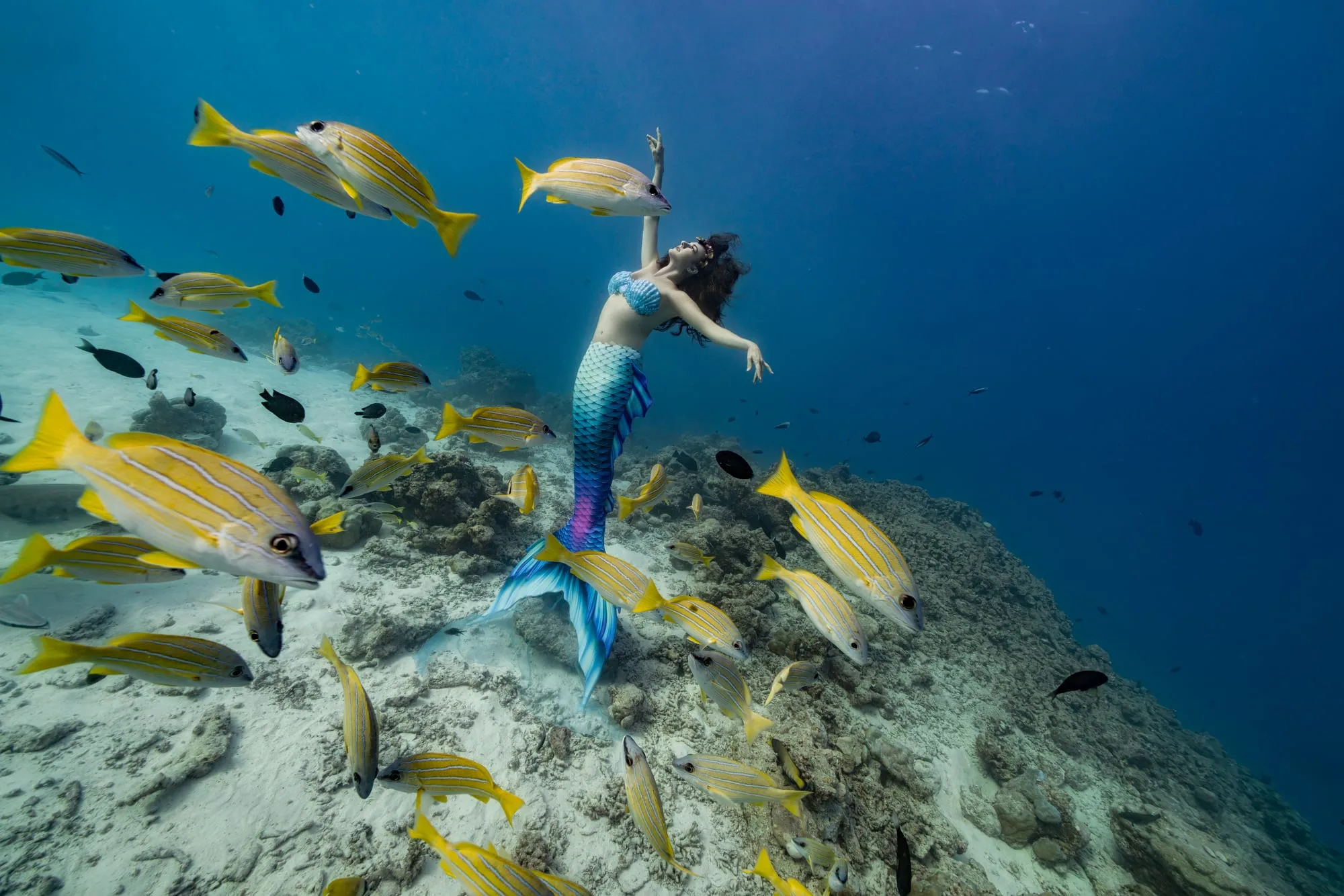 Photography: Mermaids: dsc02942