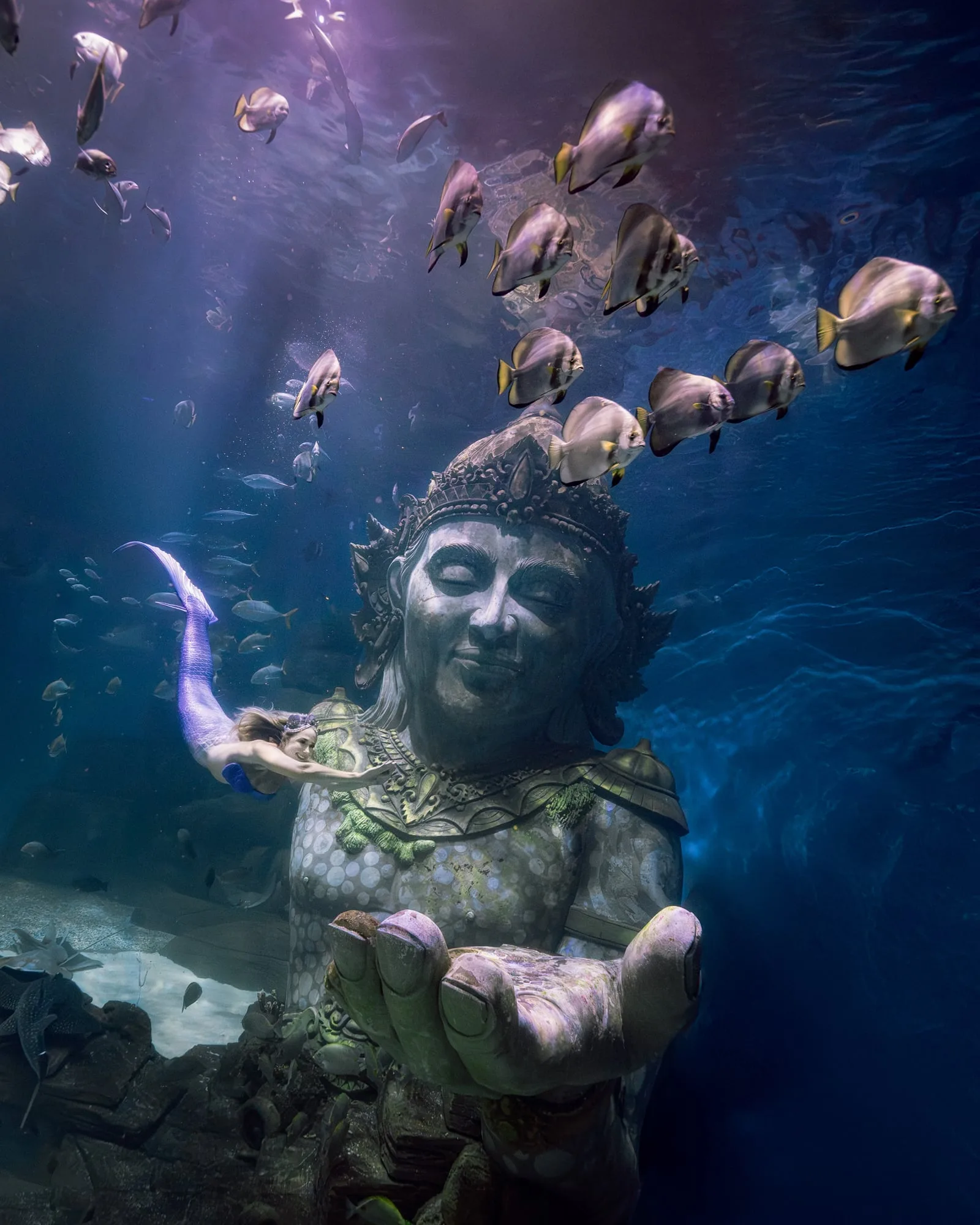 Photography: Mermaids: dsc07724 clean