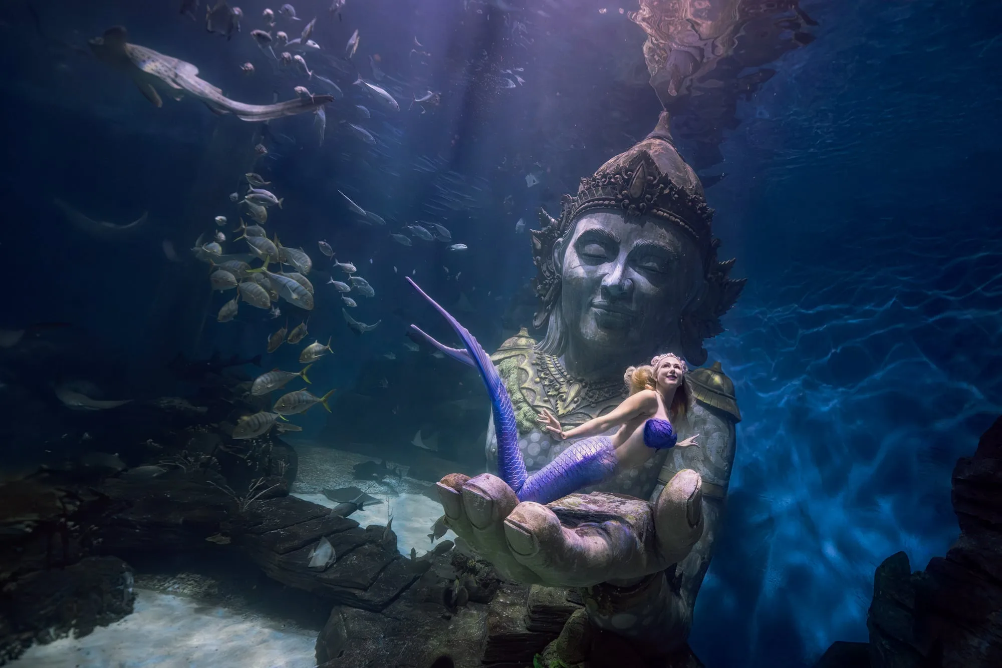 Photography: Mermaids: dsc07733 clean