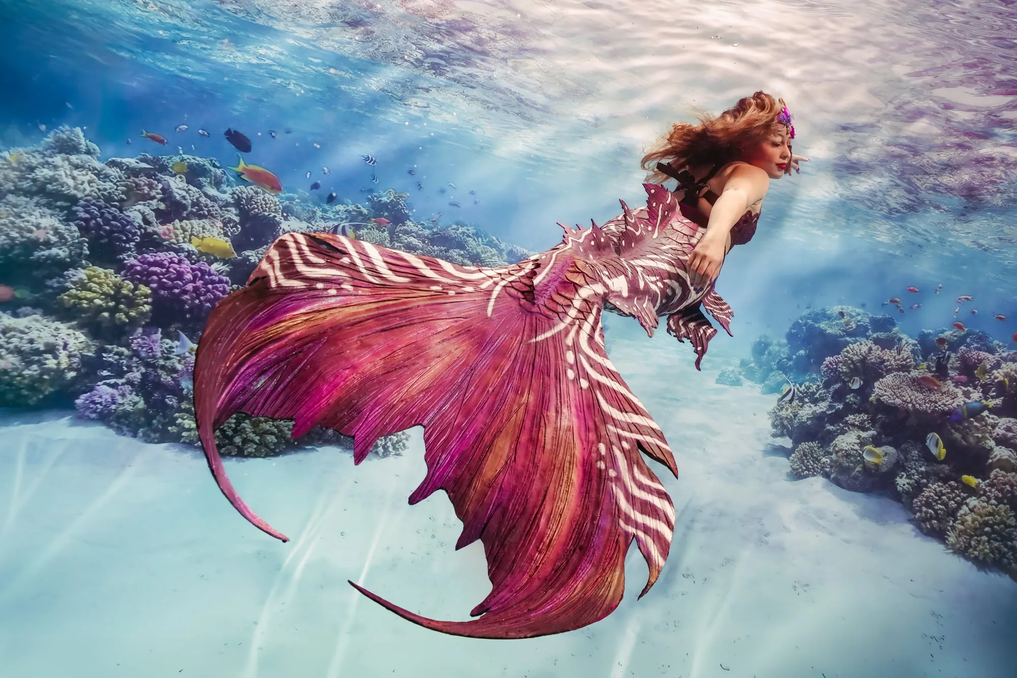 Photography: Mermaids: dsc08683