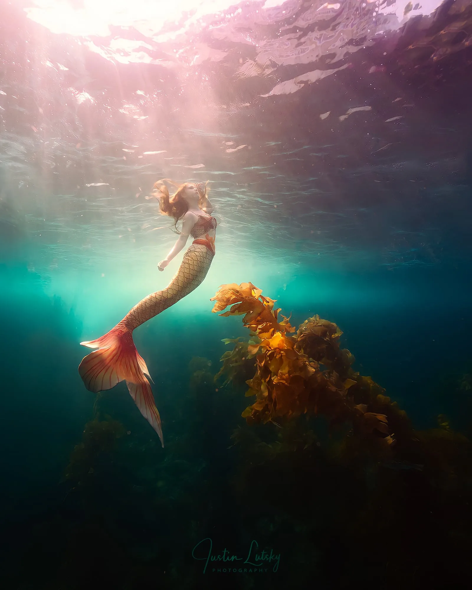 Photography: Mermaids: dsc03309 v2 remini
